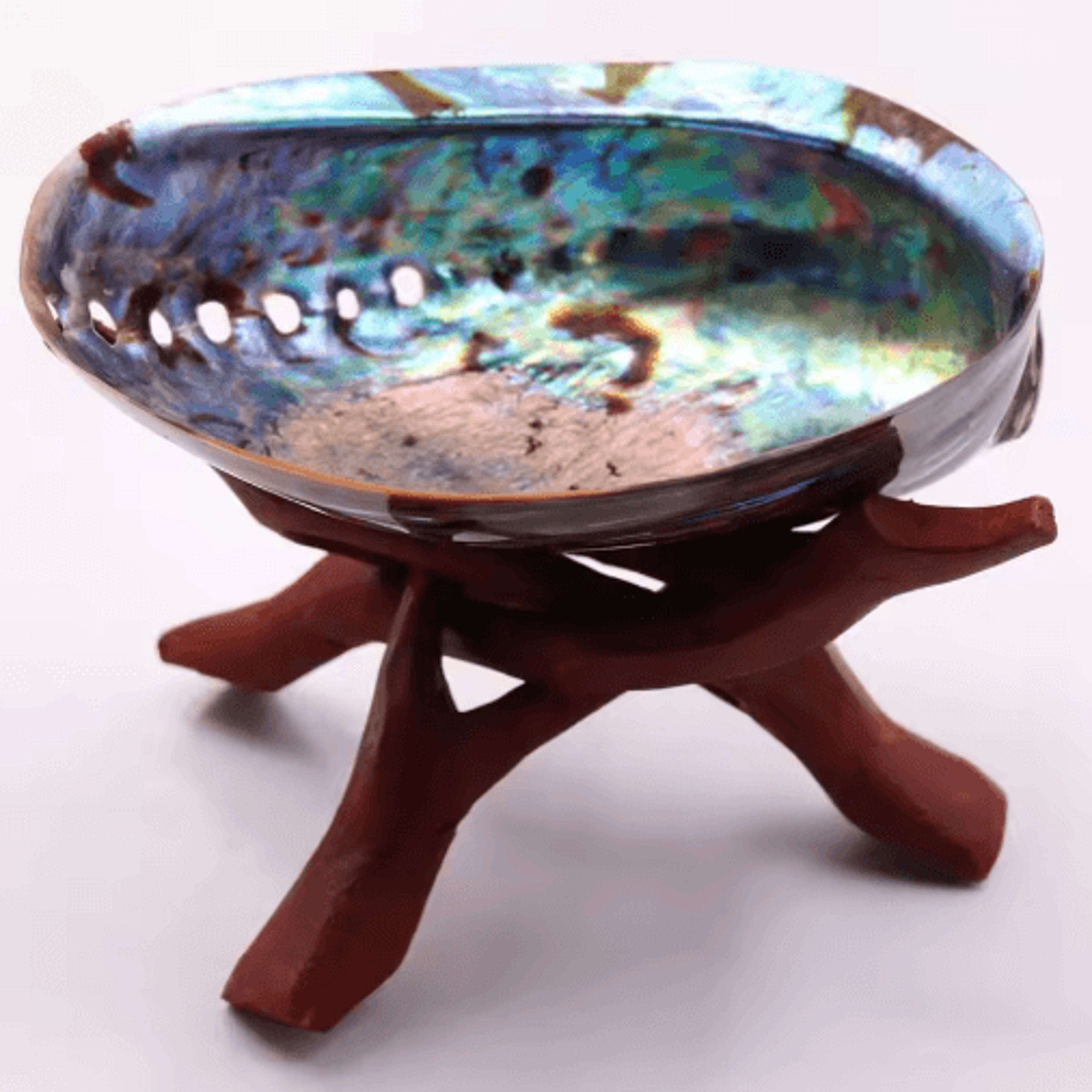 Paua Abalone Shell Smudge Kit With Stand Natural Sage Cleansing  Decor Set 10