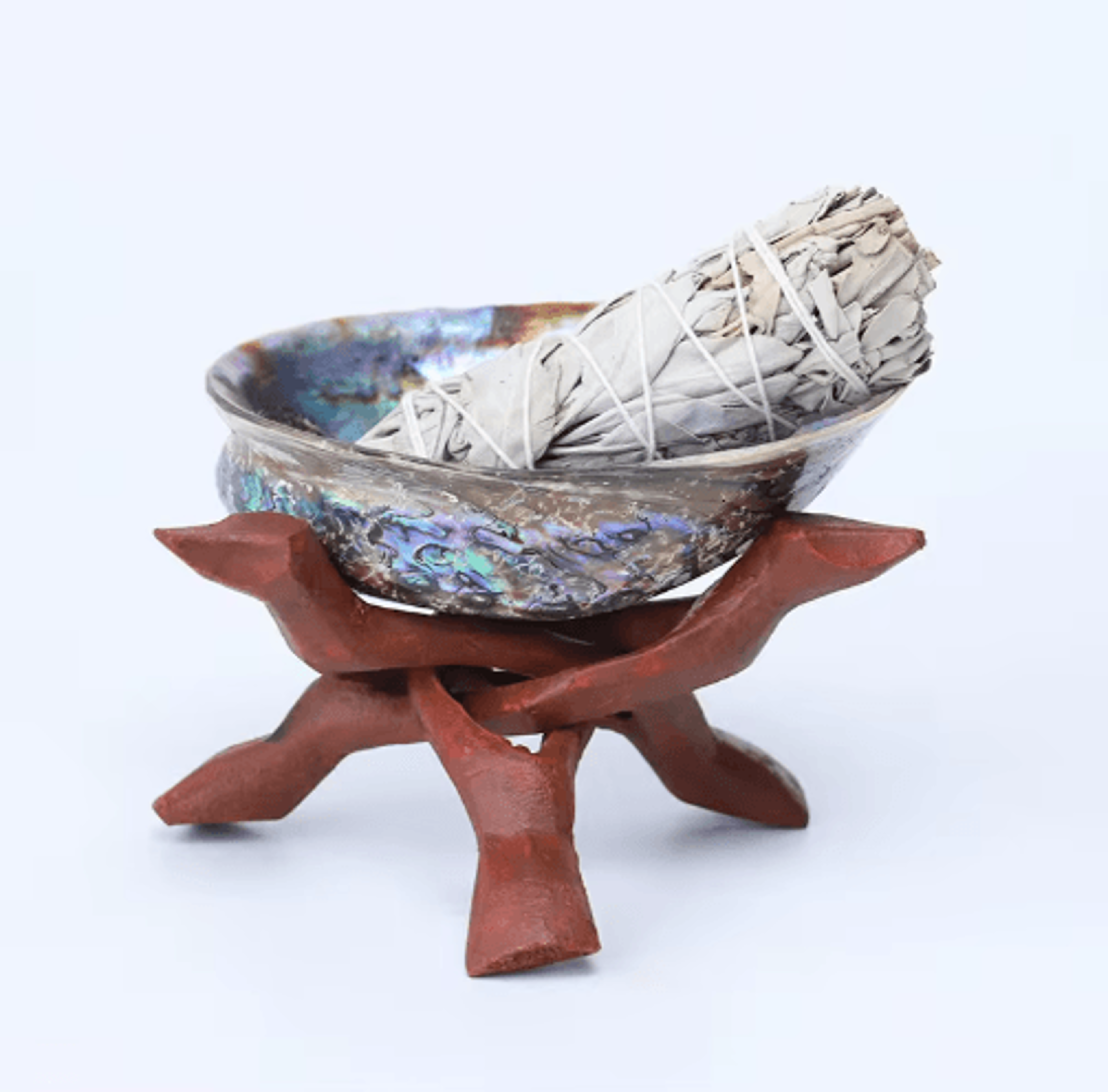 Paua Abalone Shell Smudge Kit With Stand Natural Sage Cleansing  Decor Set 9