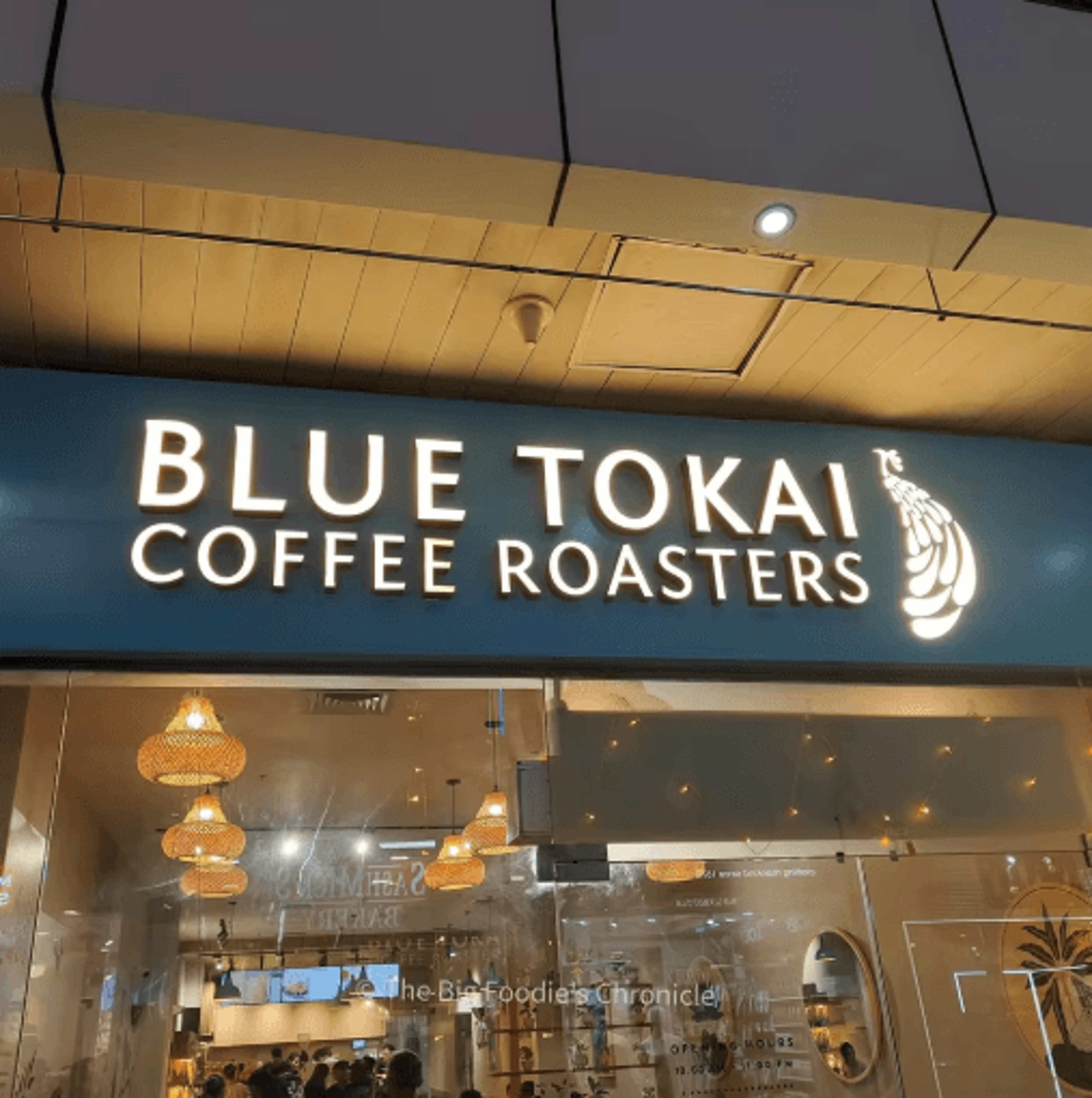 Custom LED Business Sign Backlit 3D Metal Storefront Logo Letters 1