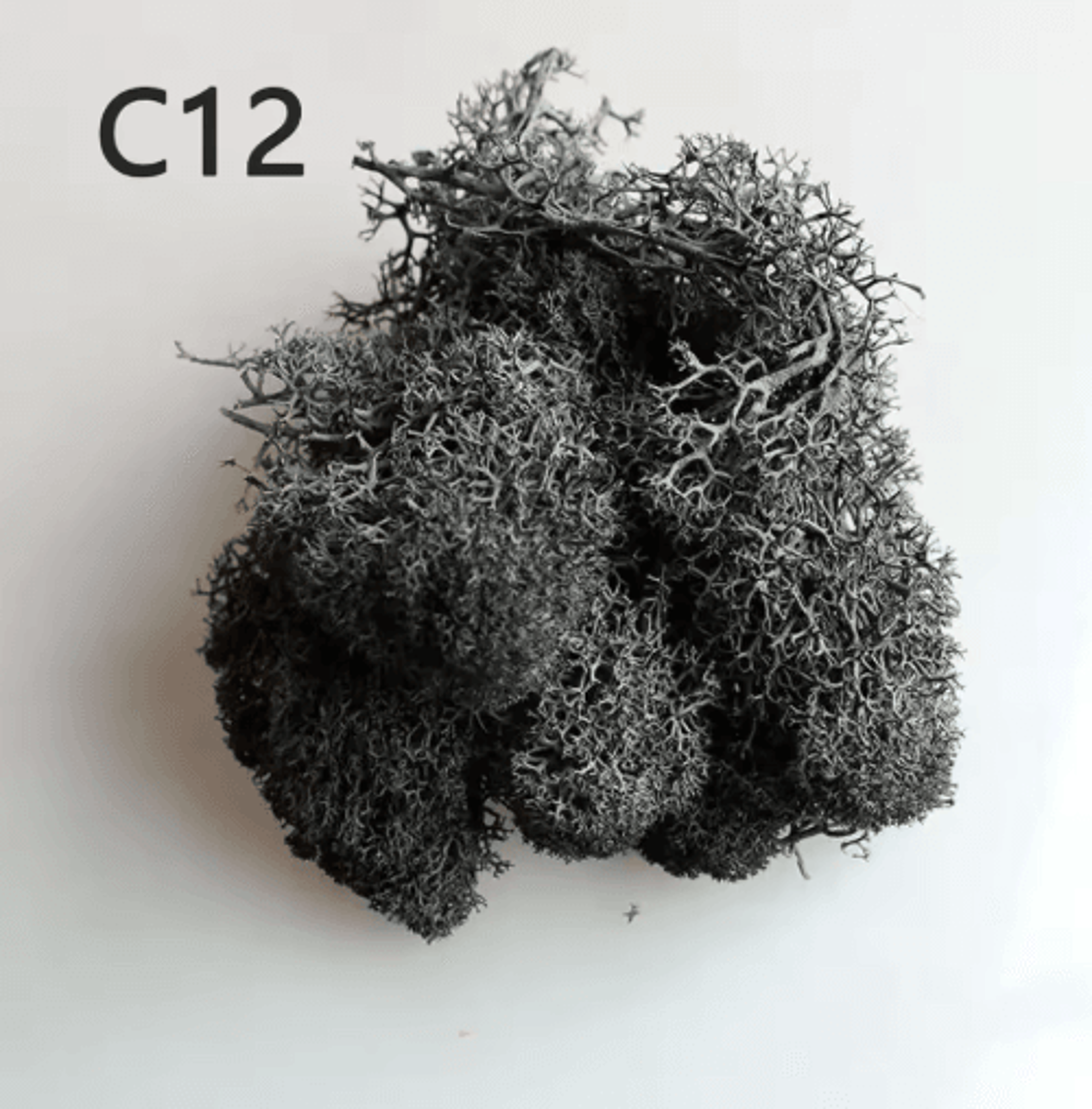 Artificial Preserved Moss Decor Eternal Greenery For DIY Micro Landscape  Home Styling 10