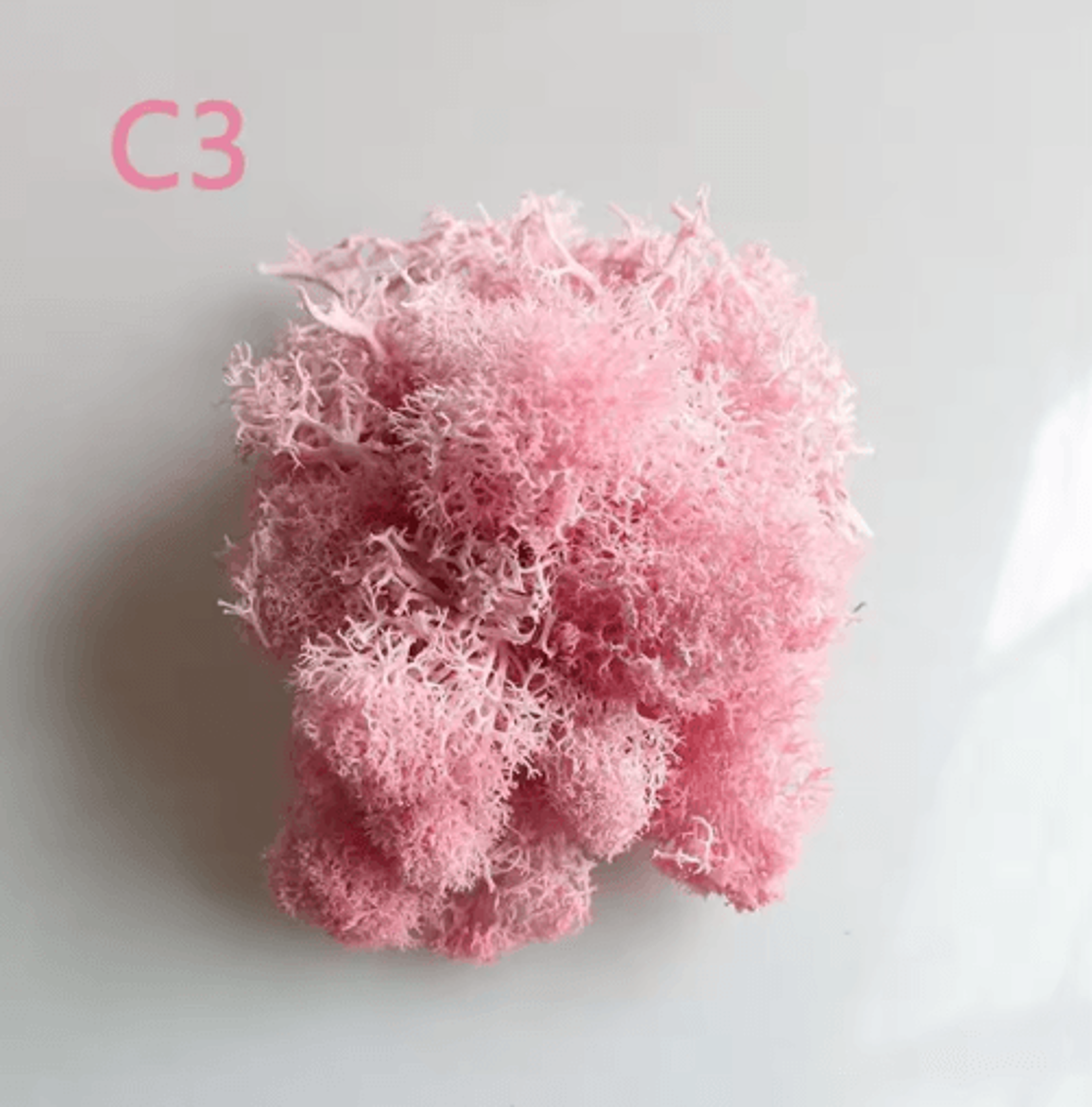 Artificial Preserved Moss Decor Eternal Greenery For DIY Micro Landscape  Home Styling 16