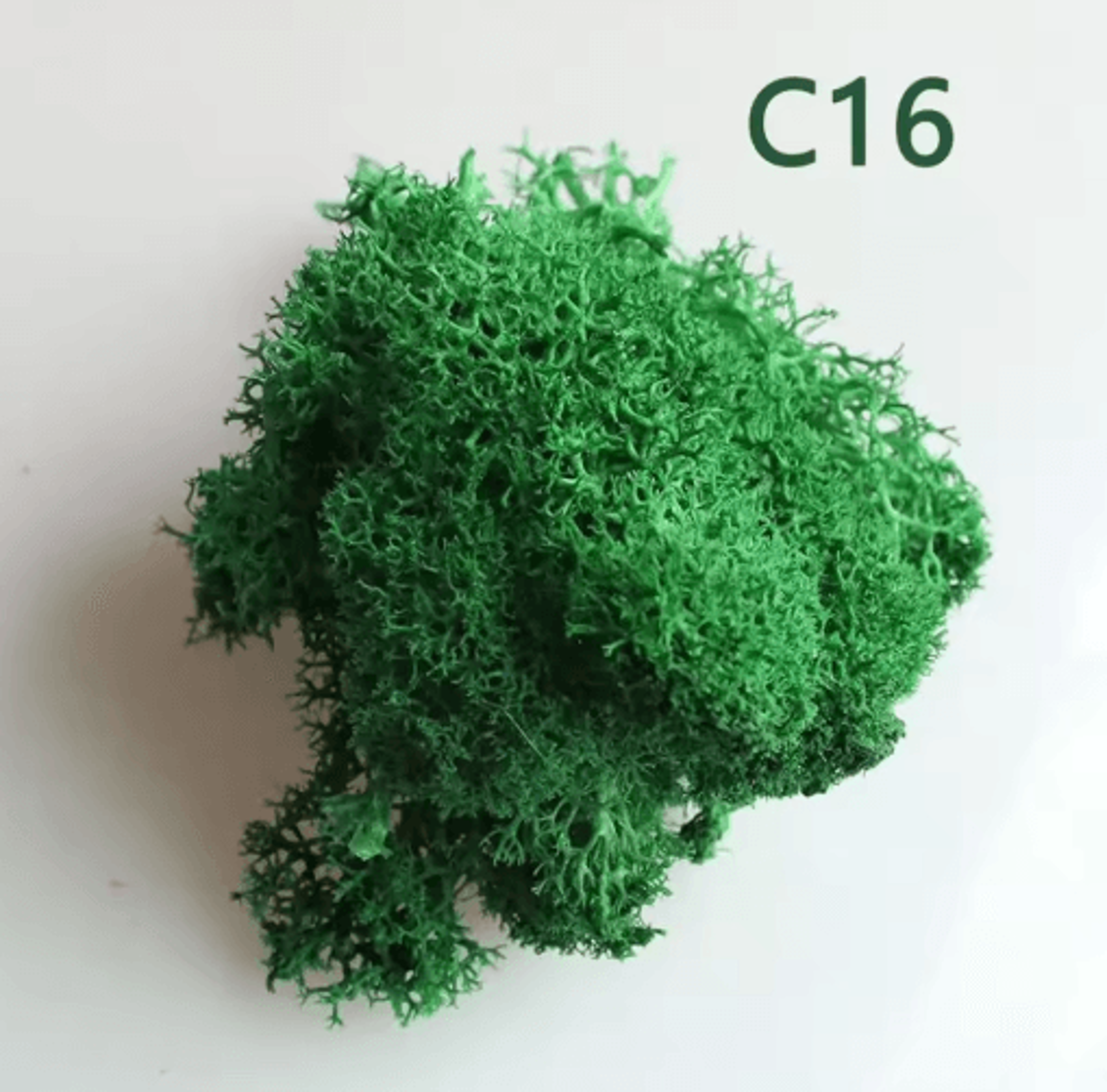 Artificial Preserved Moss Decor Eternal Greenery For DIY Micro Landscape  Home Styling 19