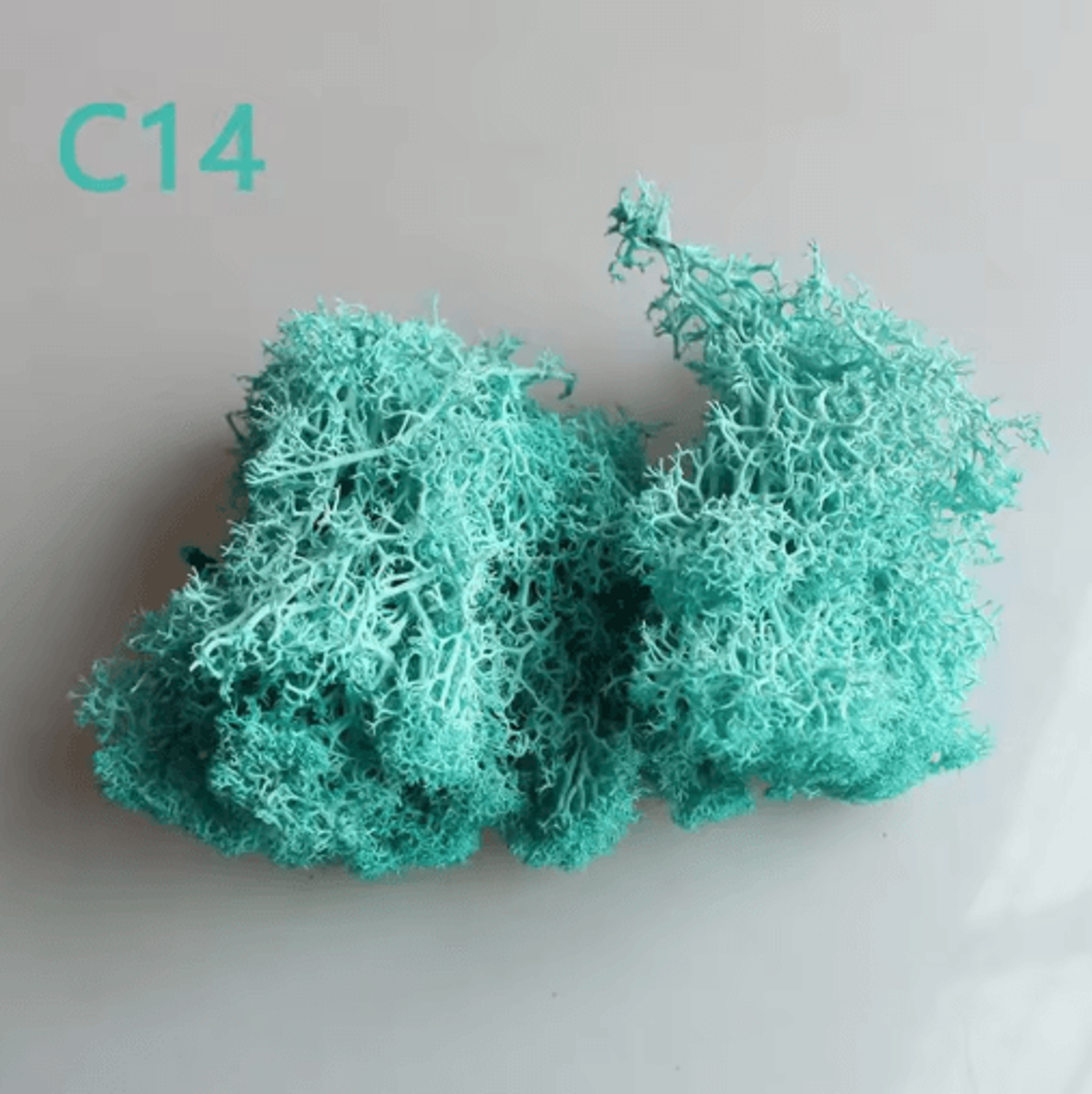 Artificial Preserved Moss Decor Eternal Greenery For DIY Micro Landscape  Home Styling 9