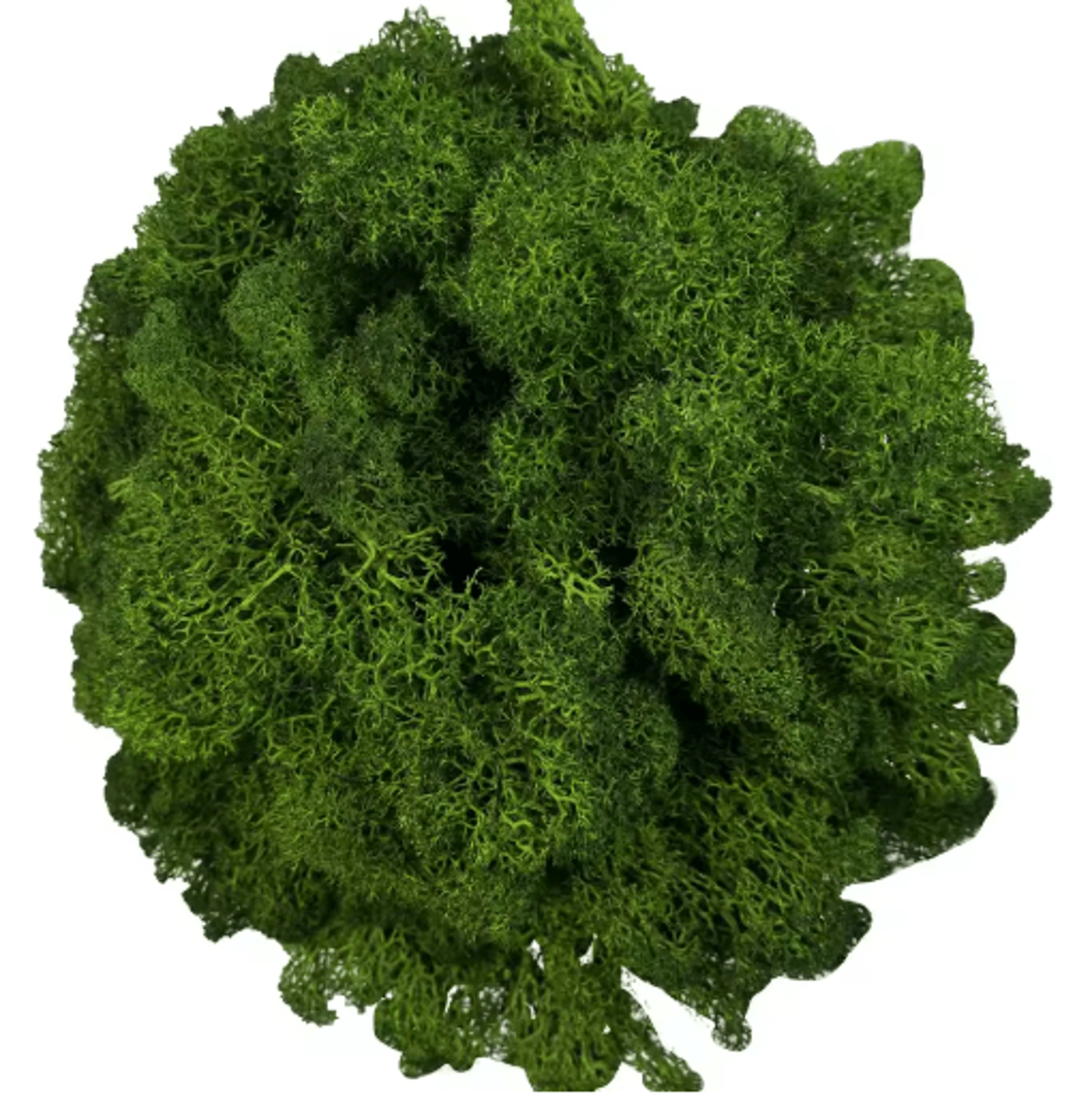 Artificial Reindeer Moss Decor  NaturalLook Green Moss For Crafts  Plant Styling 2