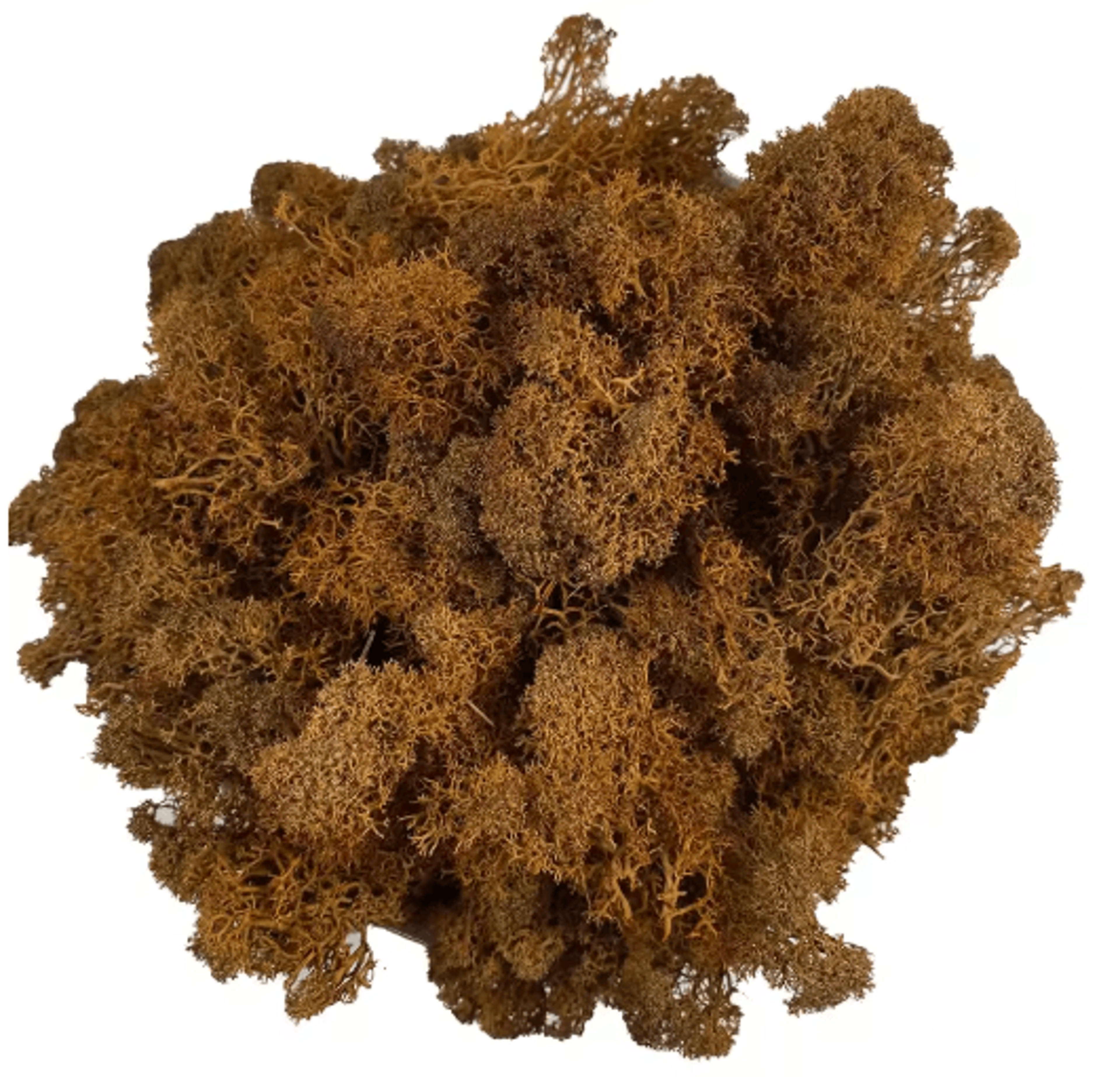 Artificial Reindeer Moss Decor  NaturalLook Green Moss For Crafts  Plant Styling 3