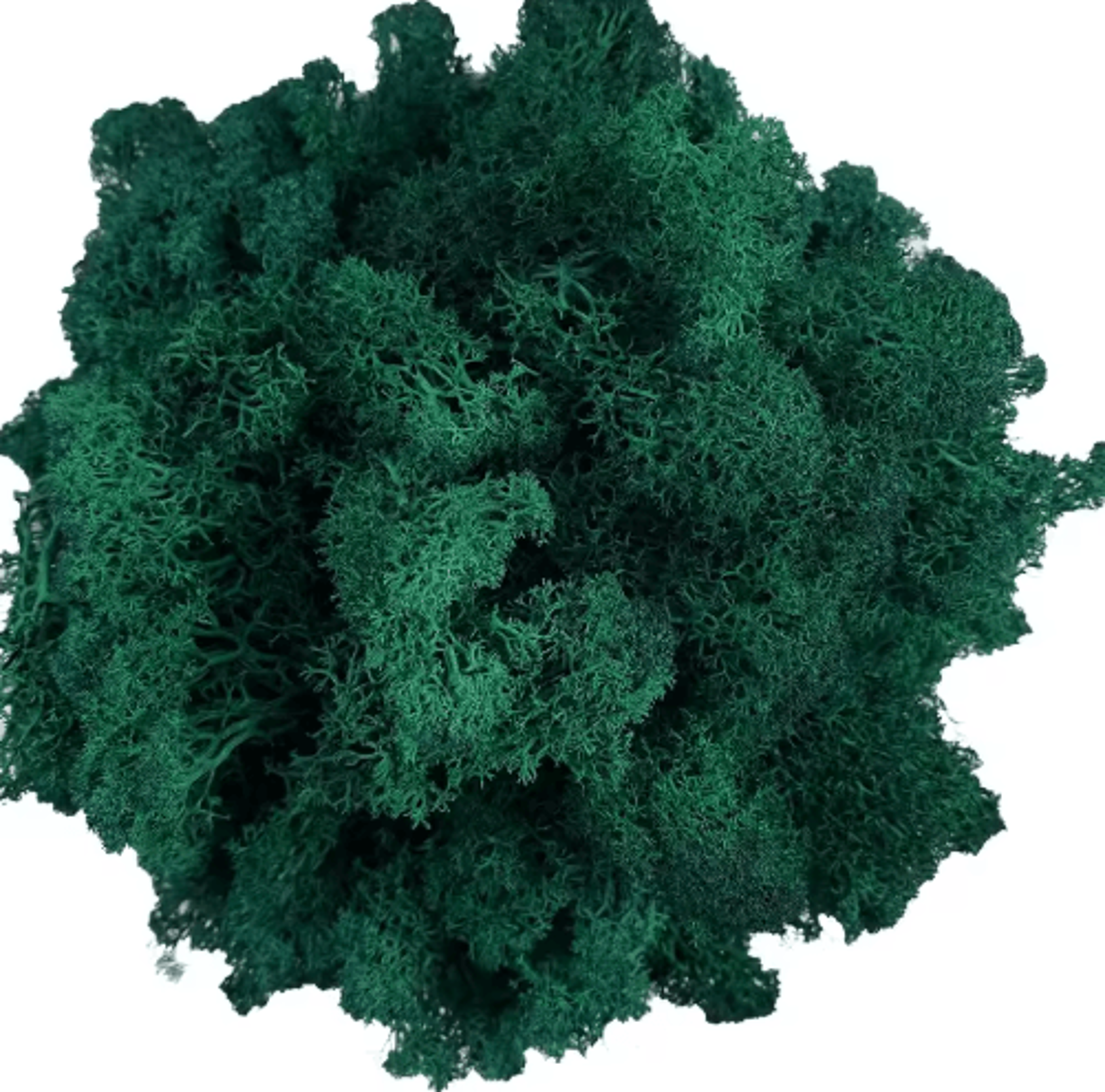 Artificial Reindeer Moss Decor  NaturalLook Green Moss For Crafts  Plant Styling 5