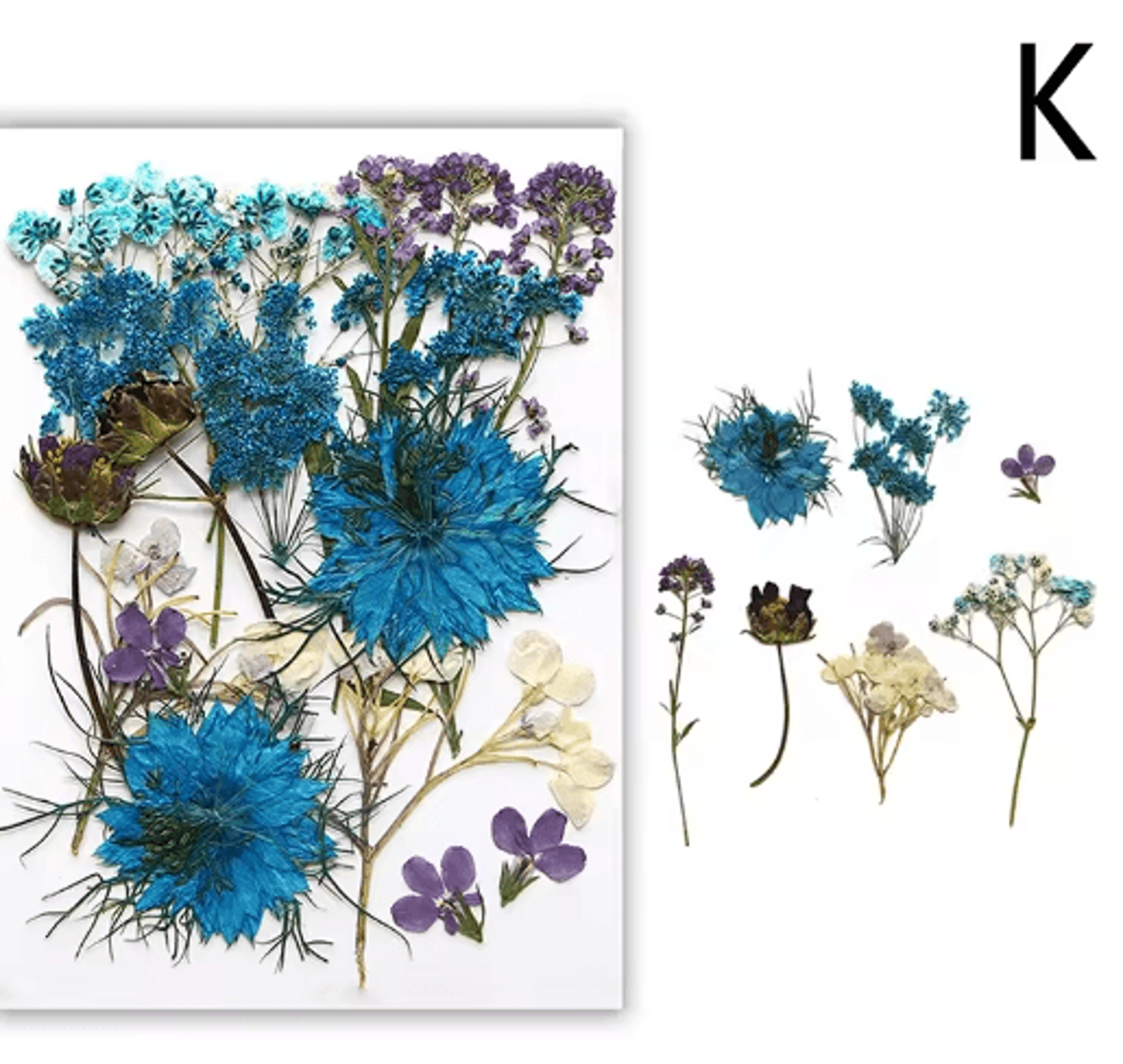 Natural Dried Flower Resin Fillings  Real Pressed Flowers For Nail Art  DIY Crafts 6