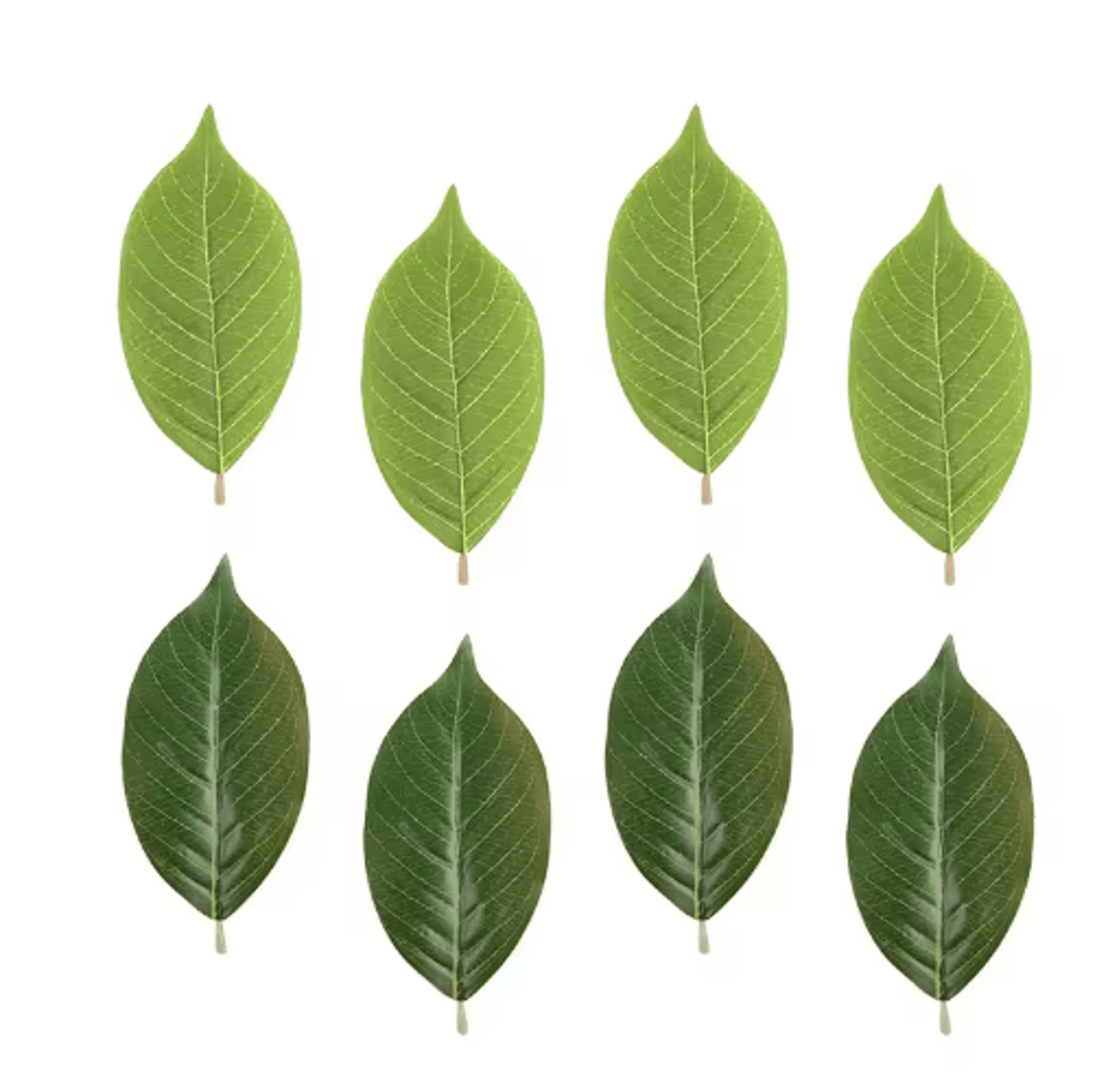 artificial magnolia leaves set – realistic pu leaves for floral arrangements & diy decor