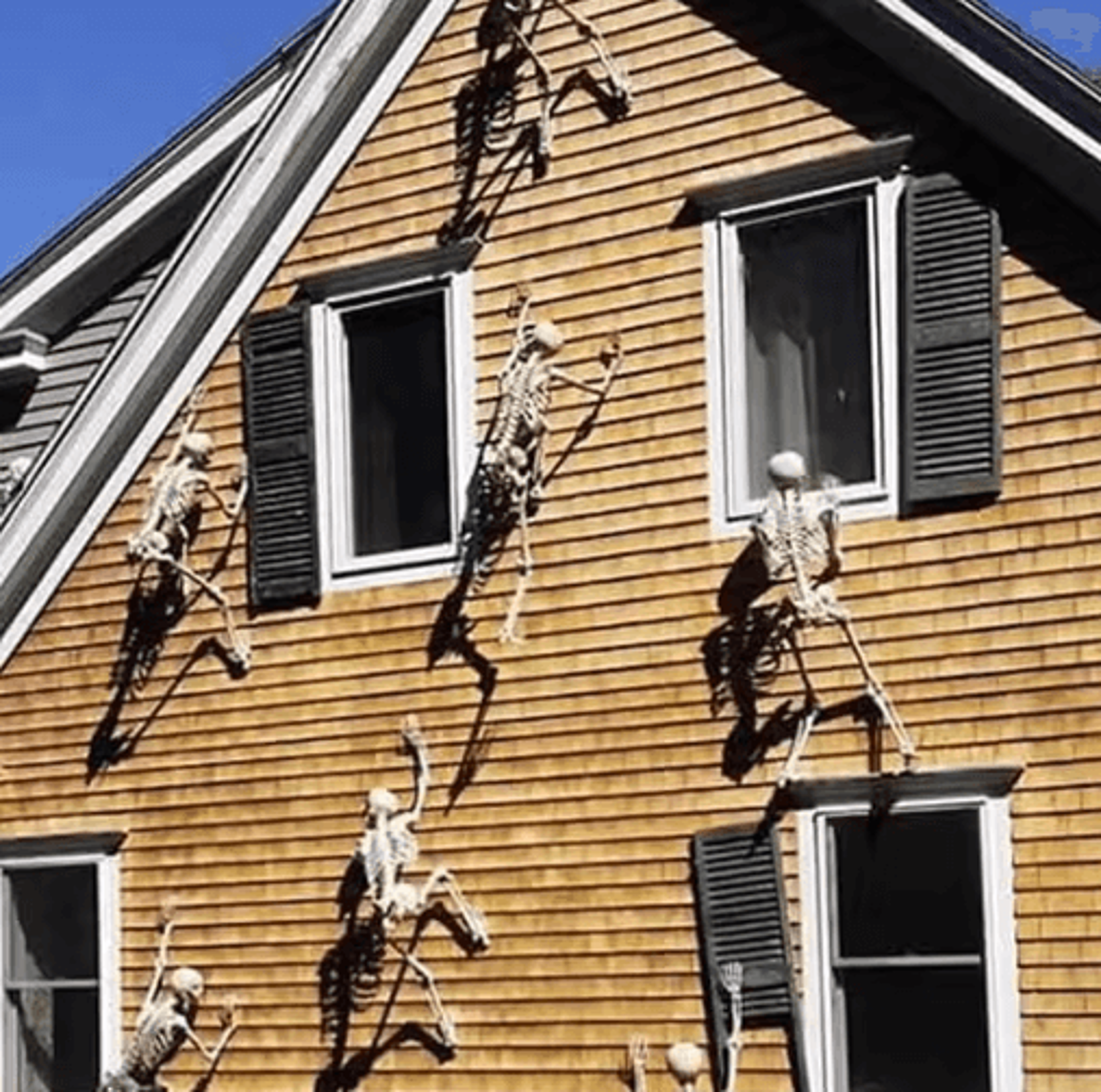 LifeSize Halloween Skeleton Decoration  Spooky Haunted House Prop For Parties 5