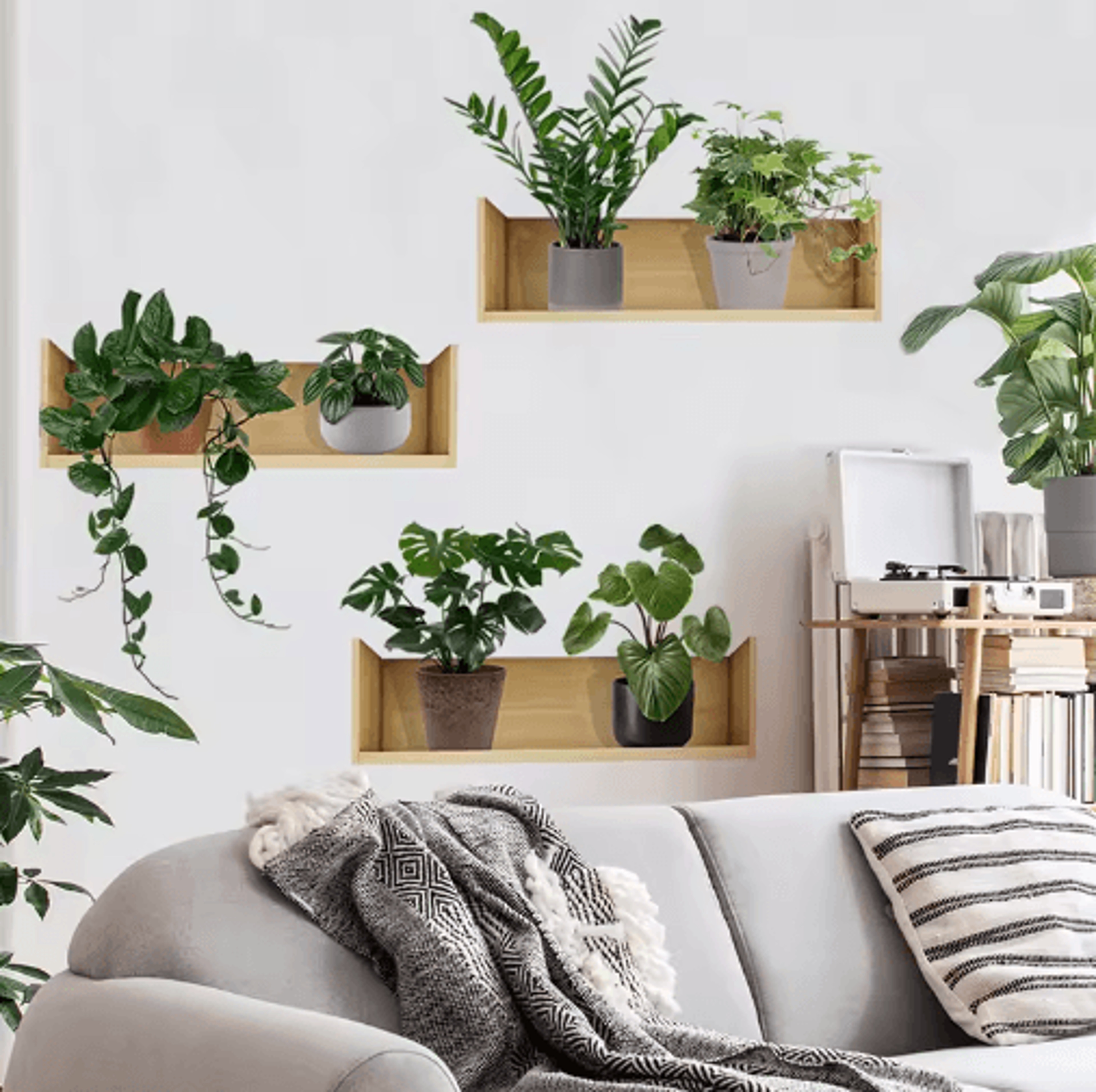 Botanical Plant Wall Sticker Set  Potted Greenery Decal For Modern Home Decor 6