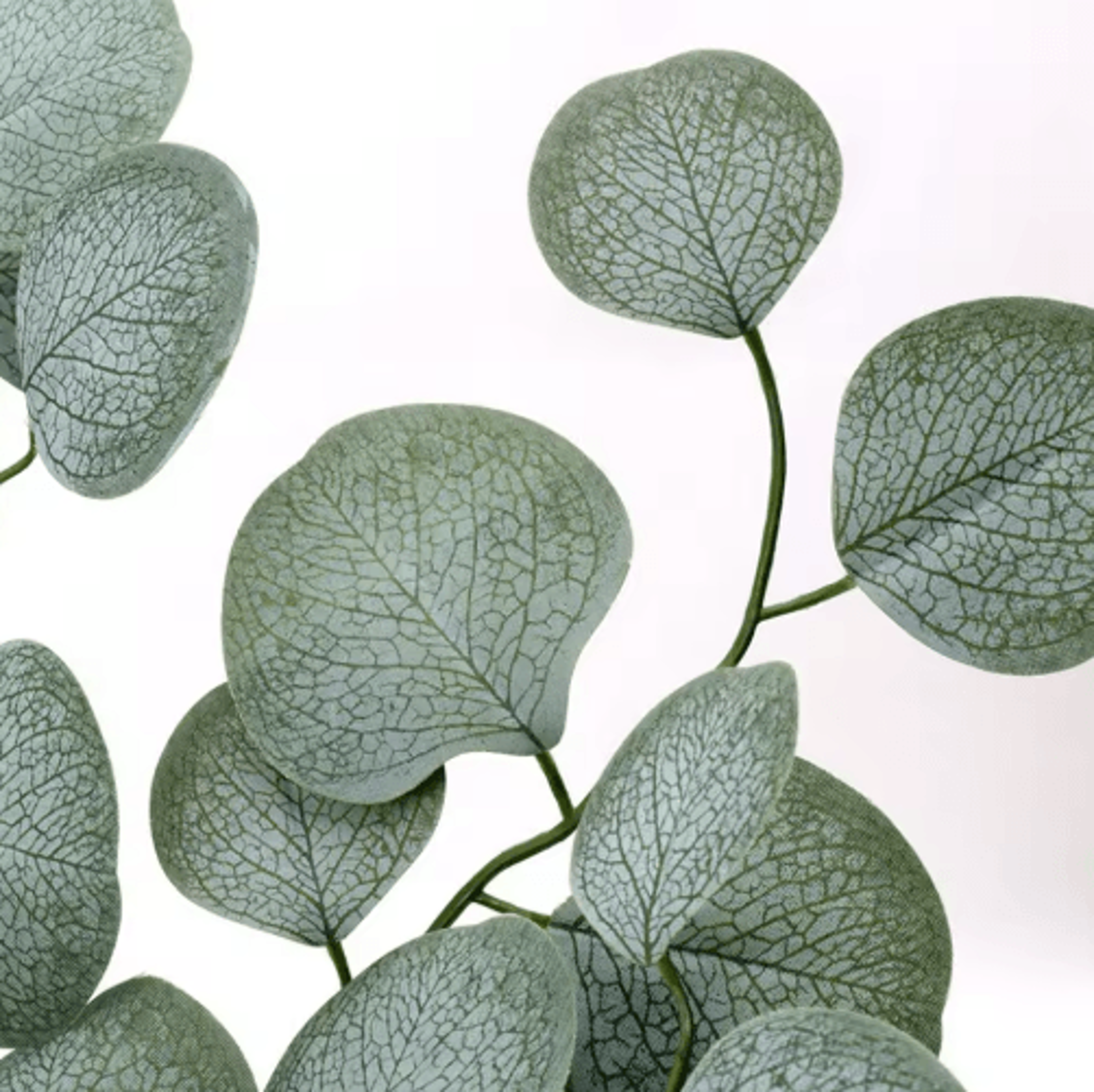 Artificial Eucalyptus Vine Garland  Realistic Greenery For Wedding  Home Decor 2