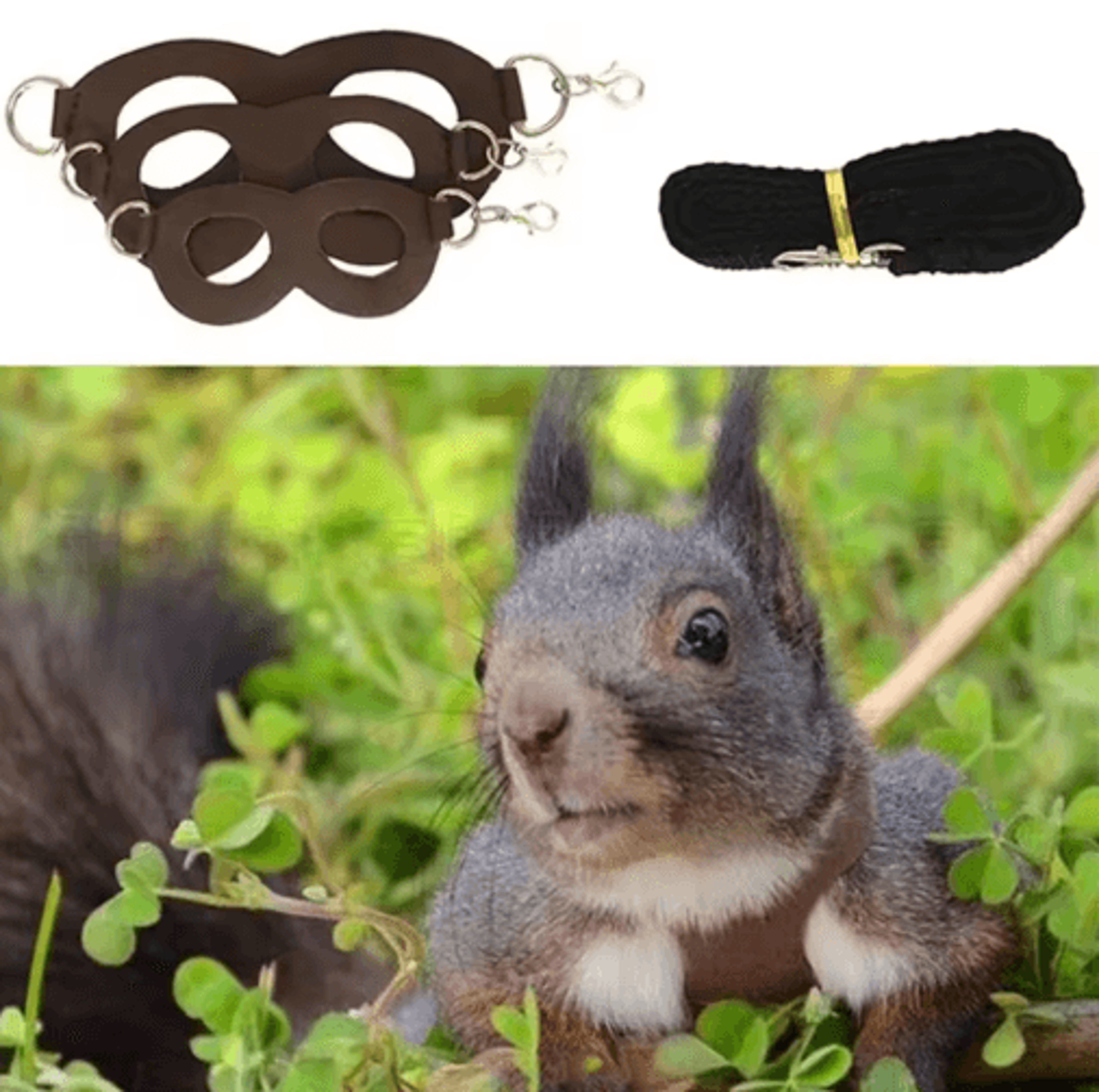 PU Leather Small Pet Harness  Leash Set For Hamsters Guinea Pigs  Sugar Gliders 6
