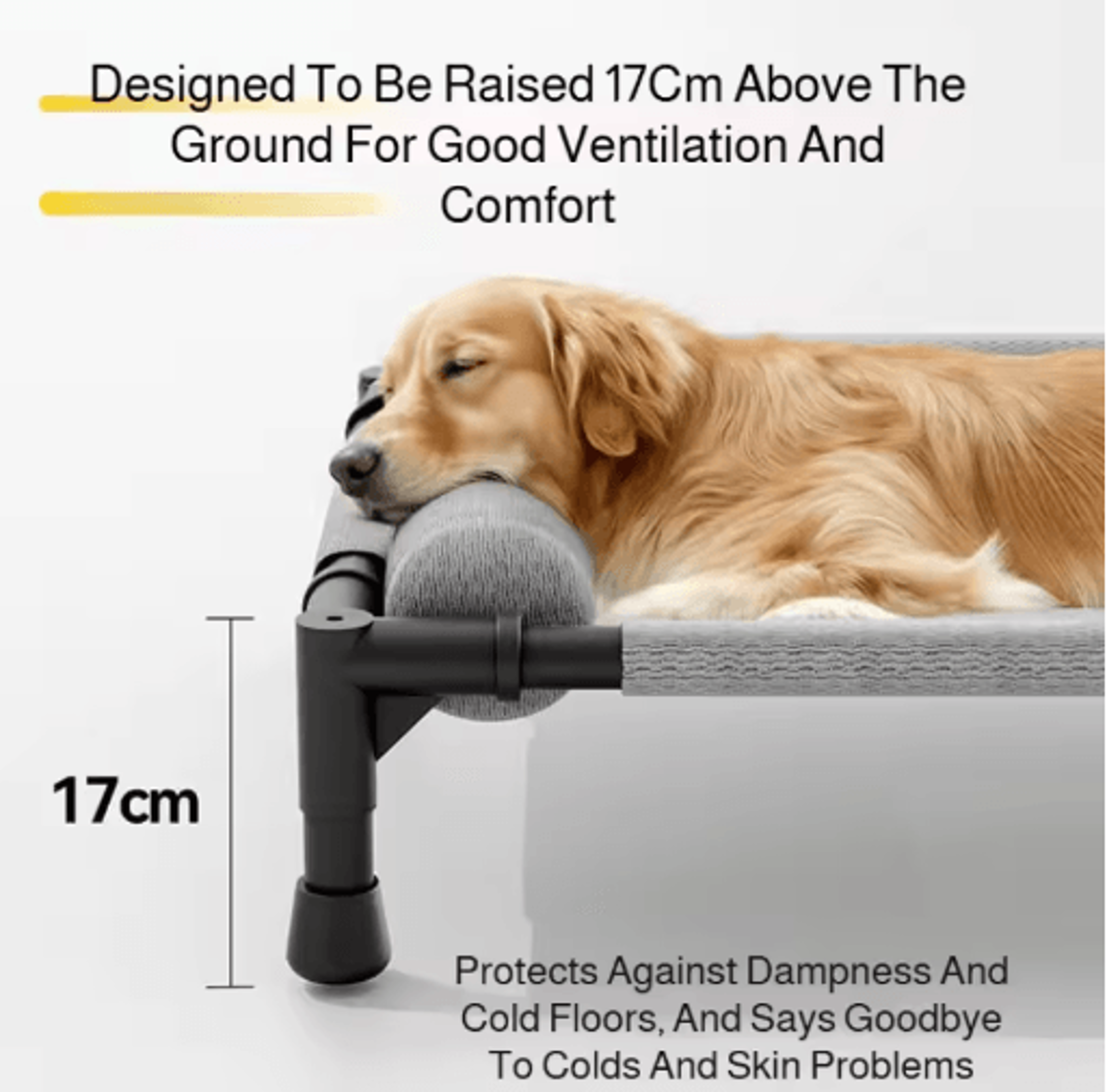 Raised Breathable Pet Bed For Medium  Large Dogs And Cats 6