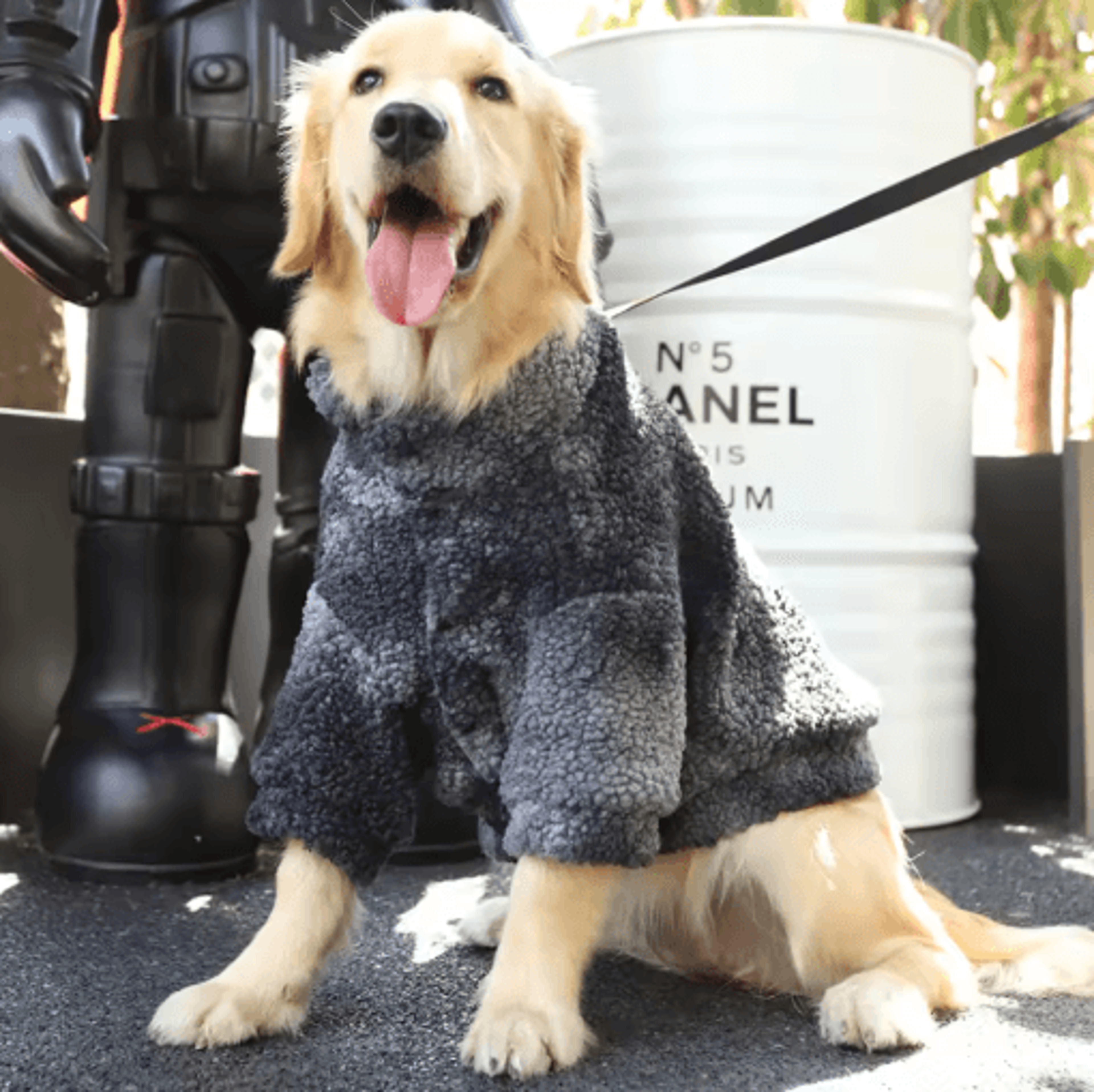 HOOPET Winter Lambswool Dog Jacket For Medium  Large Dogs 5