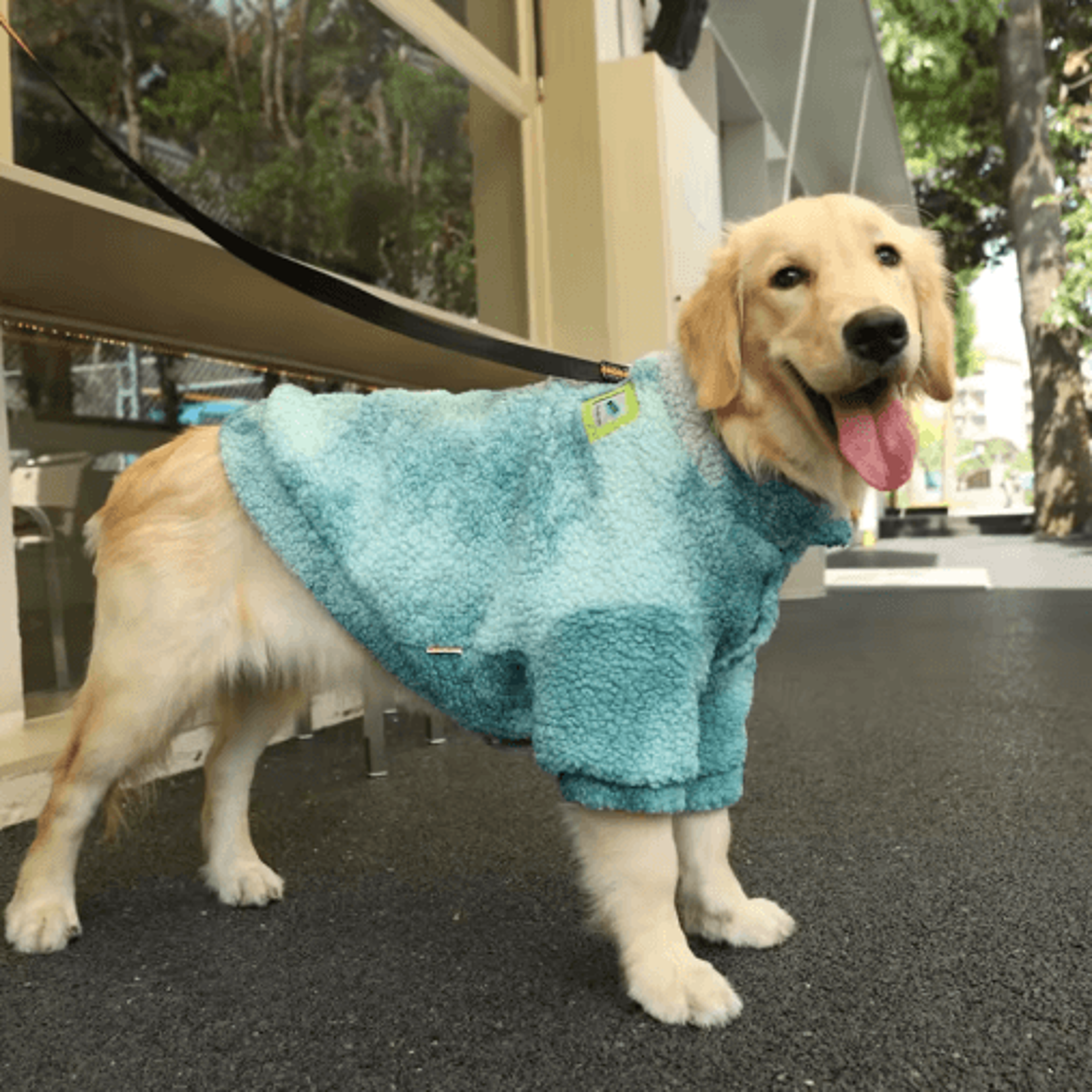 HOOPET Winter Lambswool Dog Jacket For Medium  Large Dogs 0