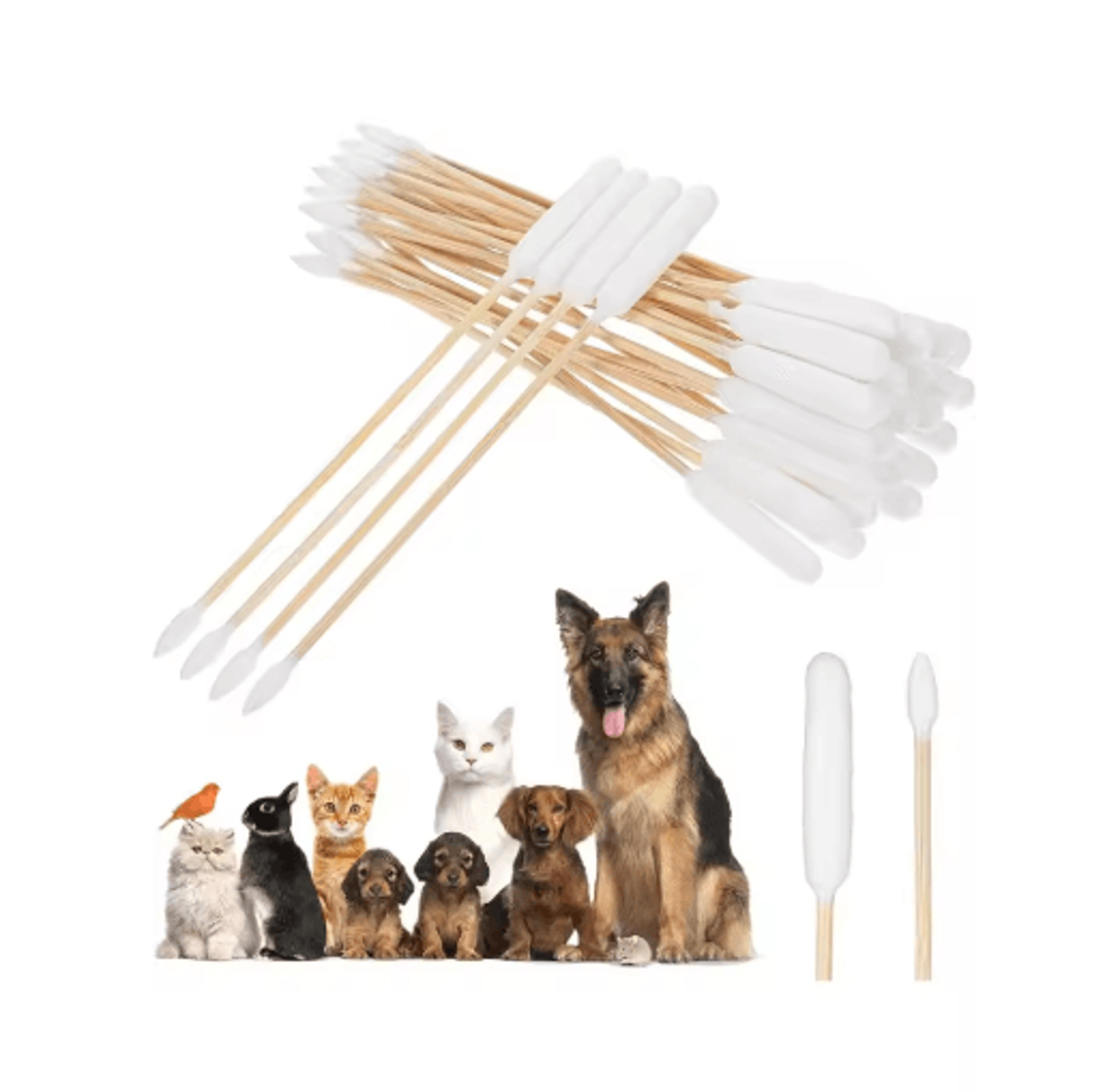 Professional Pet Ear Cleaning Cotton Swabs DoubleSided Bamboo Swabs For Dogs  Cats 6