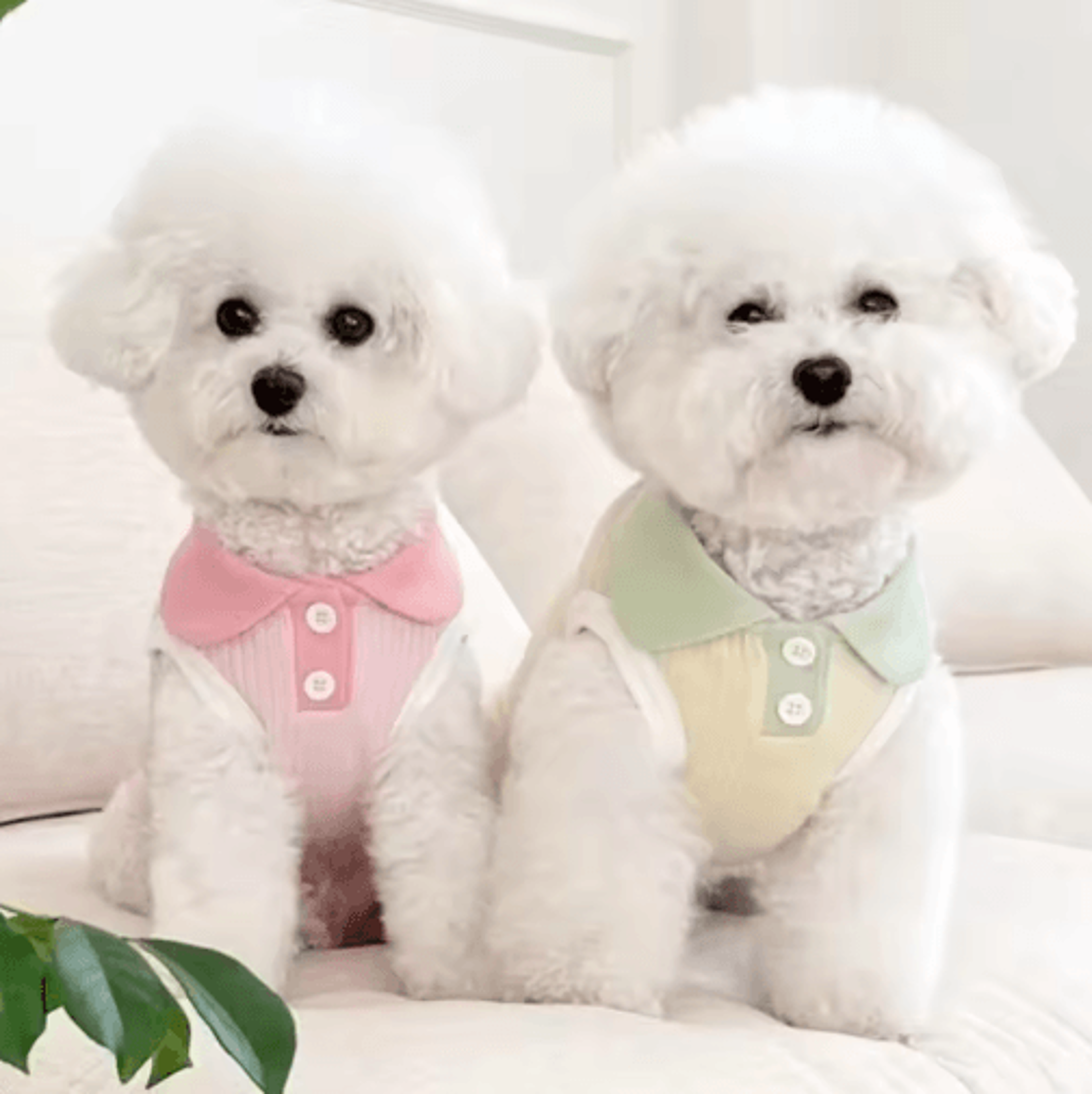 BreezyPaws Lightweight Dog Summer Clothes Shirt For Small Pets 6