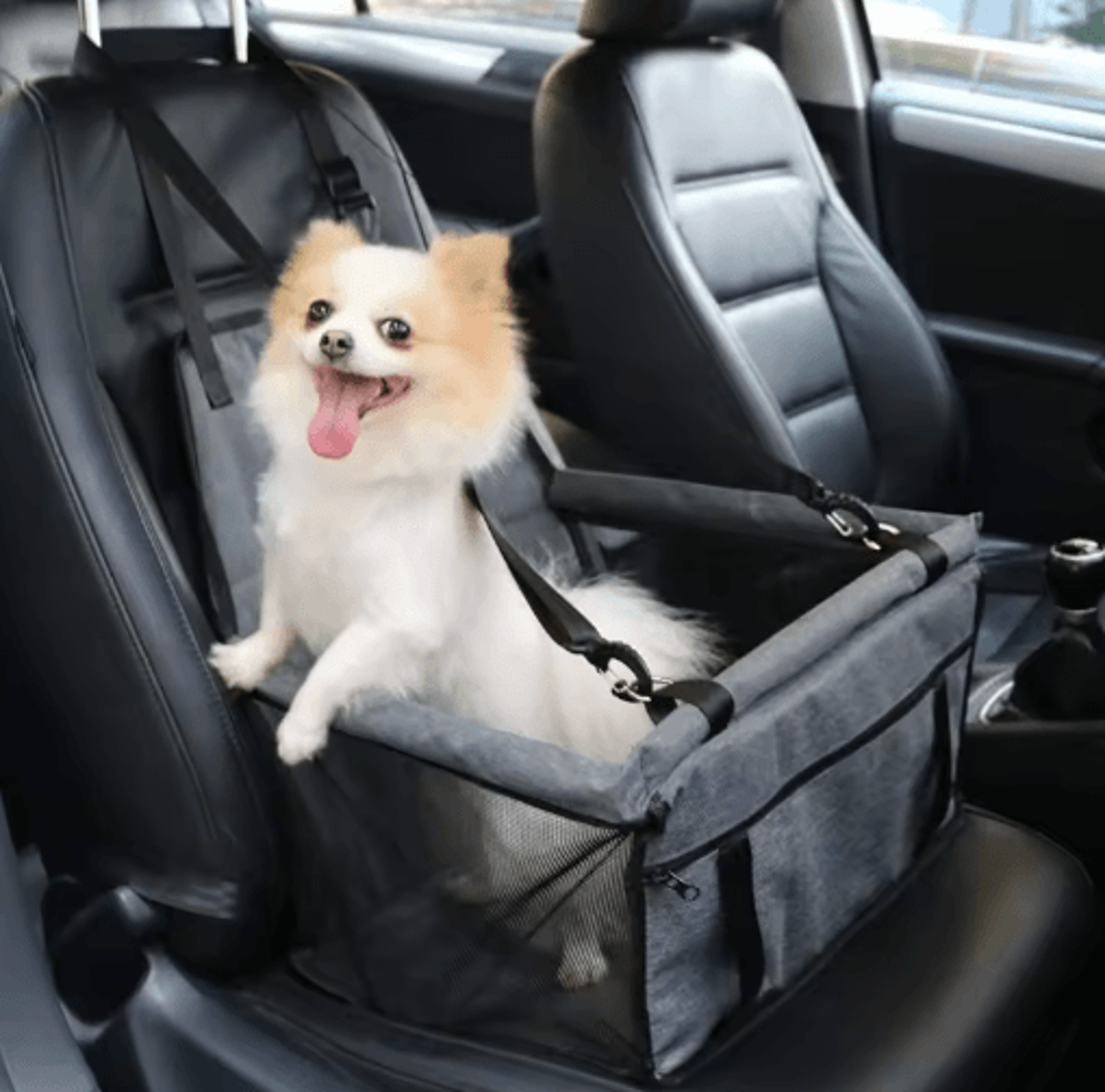 travel nest foldable dog car seat cover & safety hammock