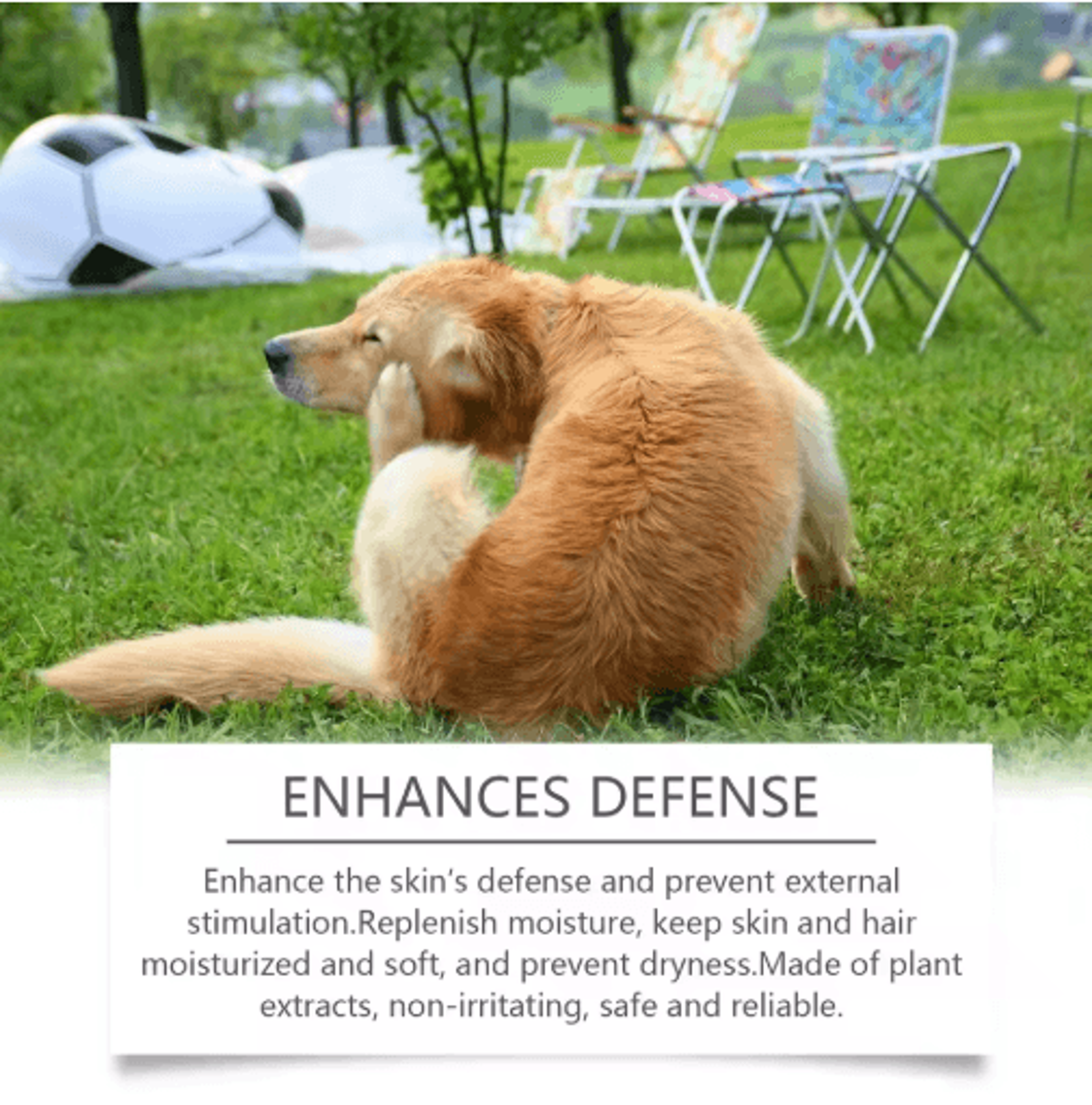 PurePaw Sensitive Skin Dog Shampoo  Conditioner  Moisturizing AntiItch Pet Cleaning Foam 6
