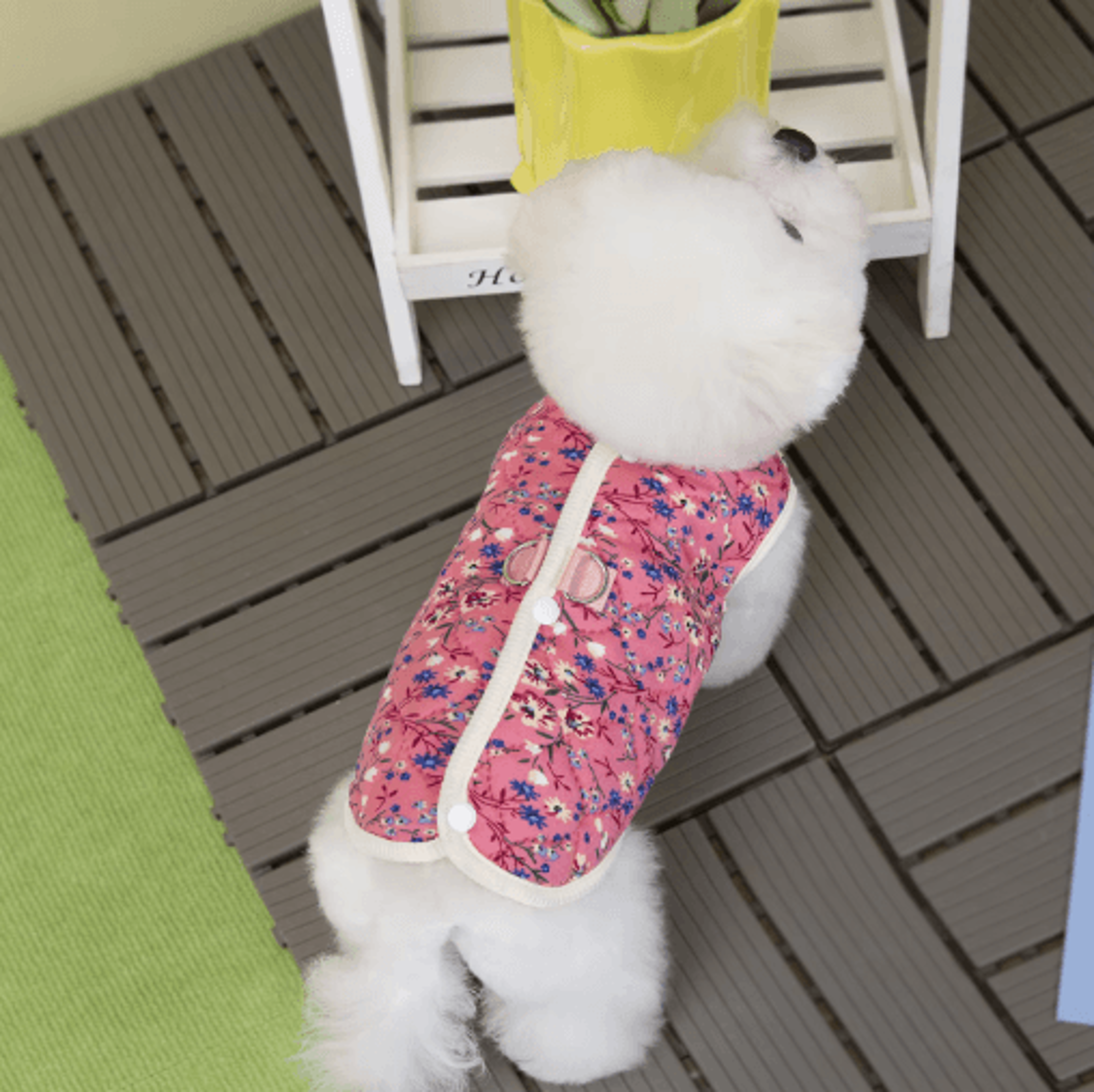 bloom fur floral puppy fleece jacket luxury winter vest coat for small dogs (xgmy05)