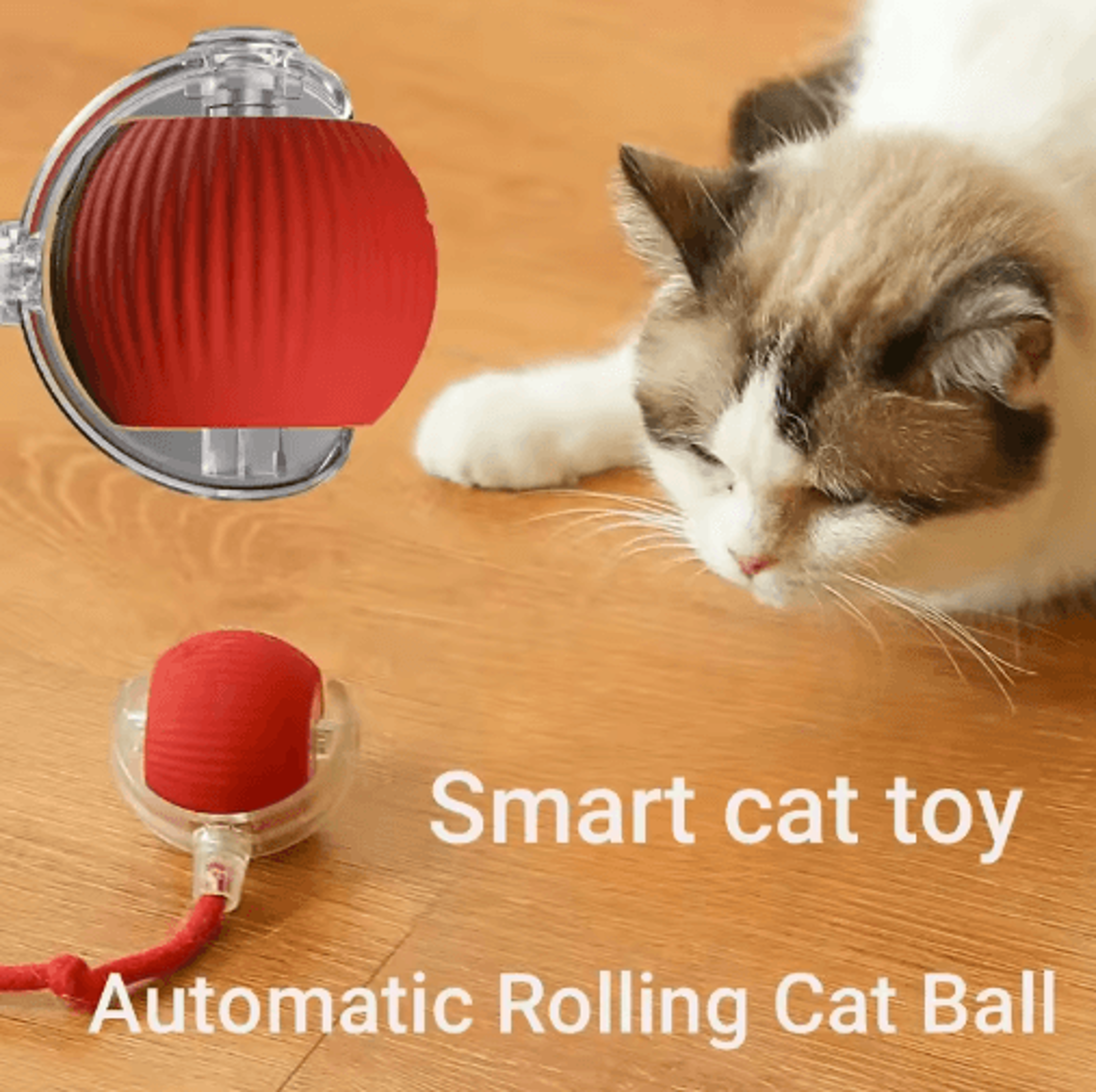 Rechargeable Smart Interactive Ball For Cats  Dogs  Automatic Rolling Pet Toy 13
