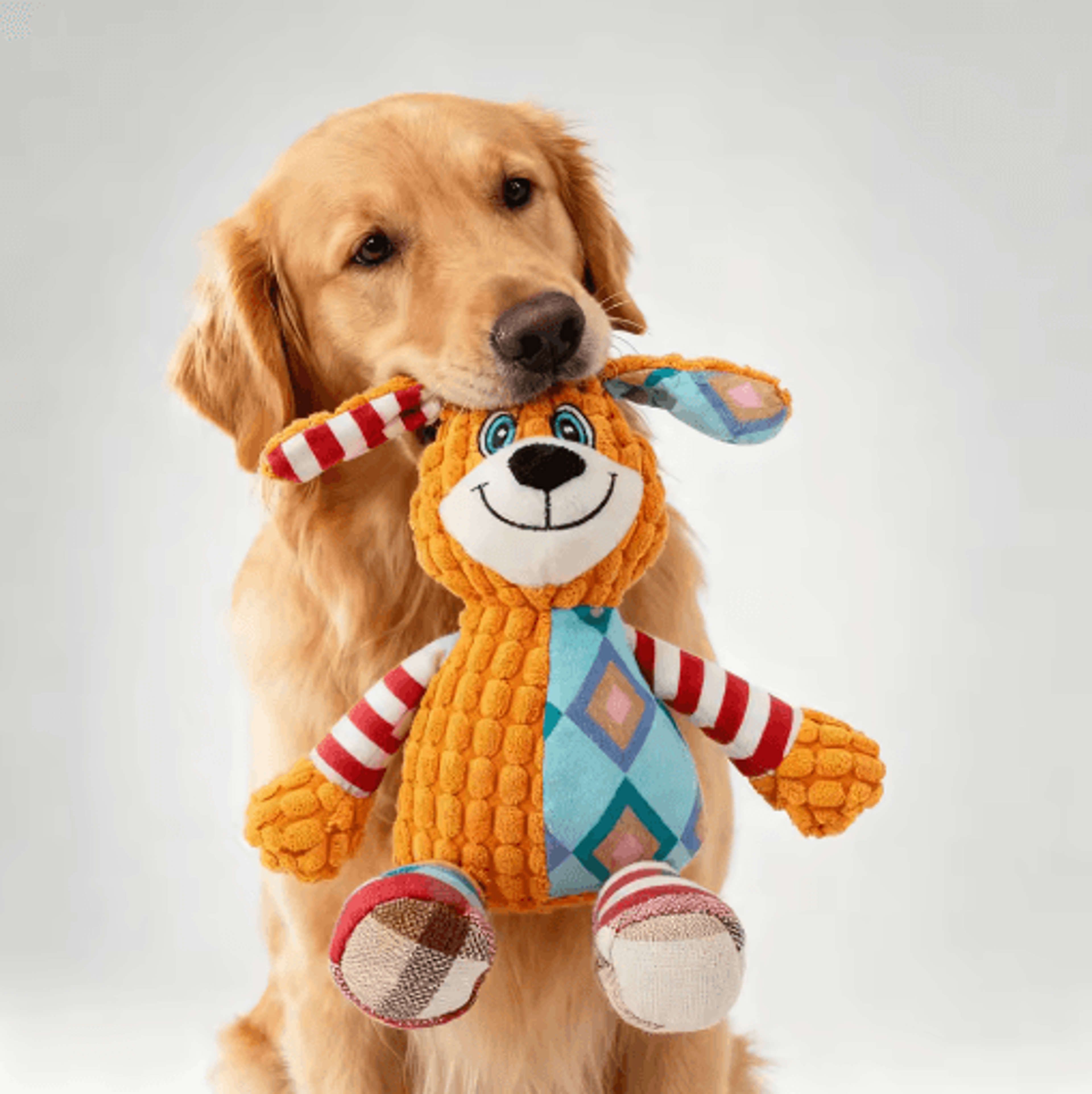 Interactive Plush Pet Toy For Dogs  Cats Squeaky Bite Resistant Chew  Teeth Cleaning Toy 0