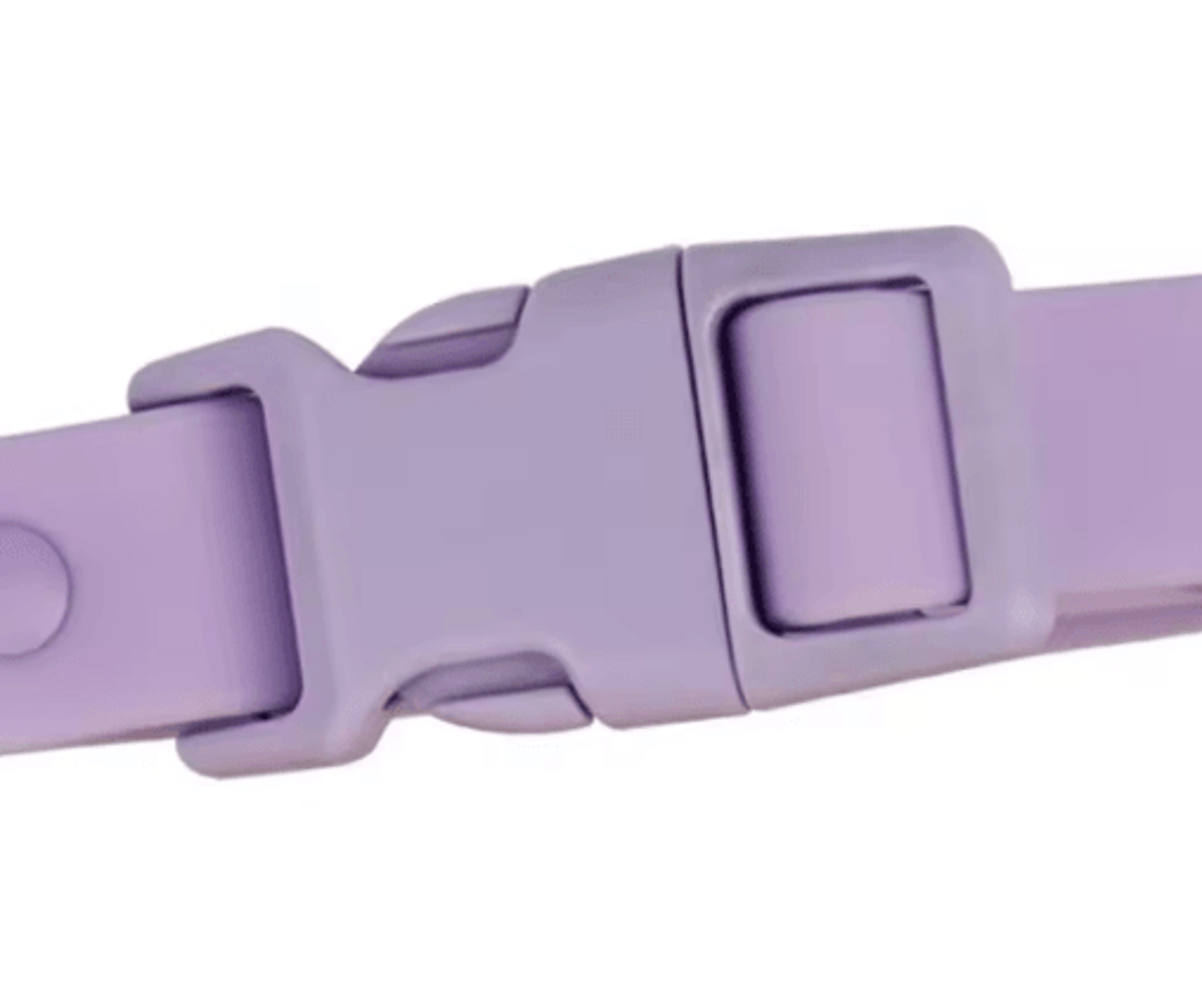 Waterproof Adjustable Pet Collar With Safety Buckle  Rustproof Outdoor Dog  Cat Collar 11
