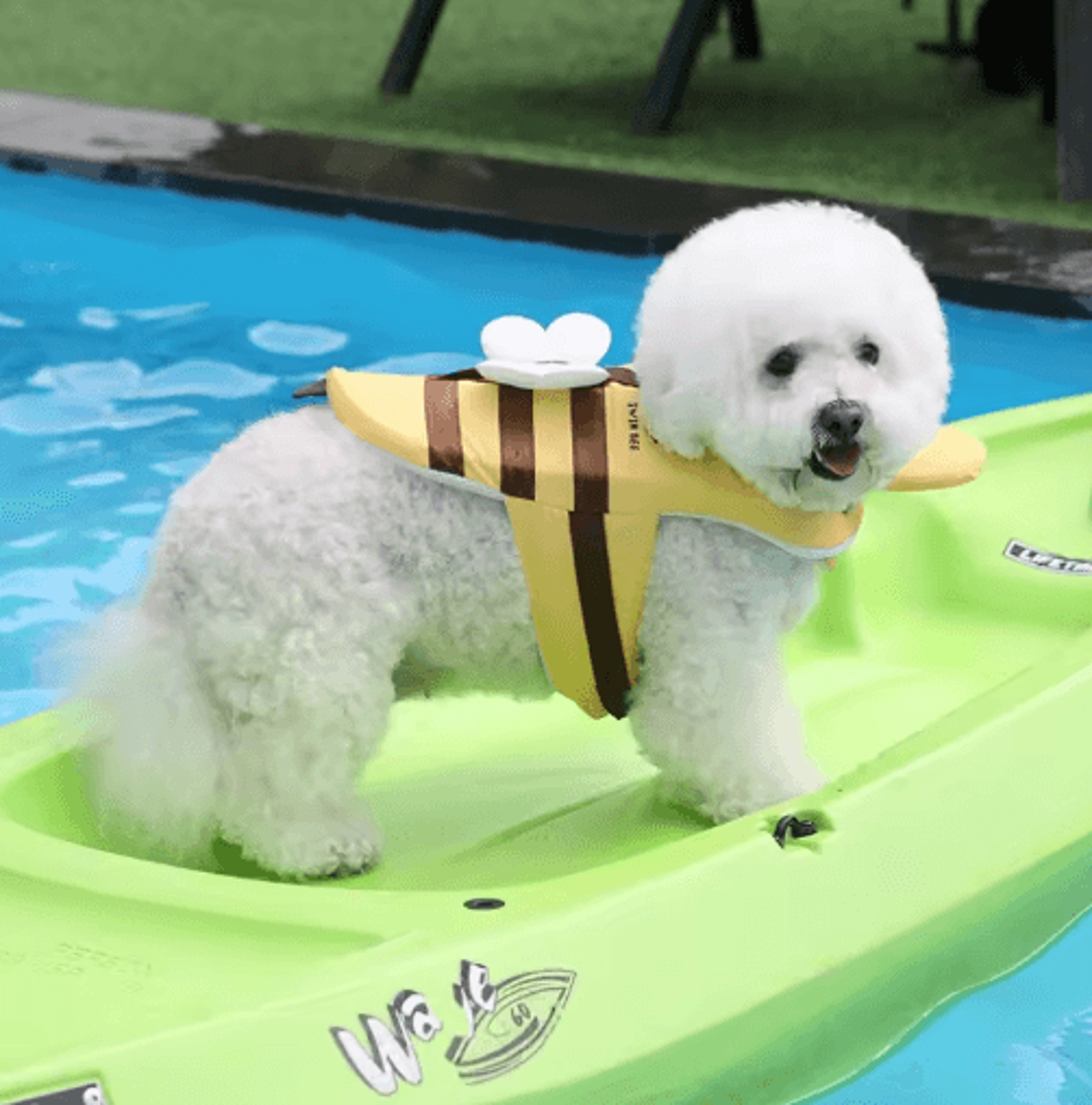 little bee dog life jacket – waterproof swimsuit harness for puppies & dogs
