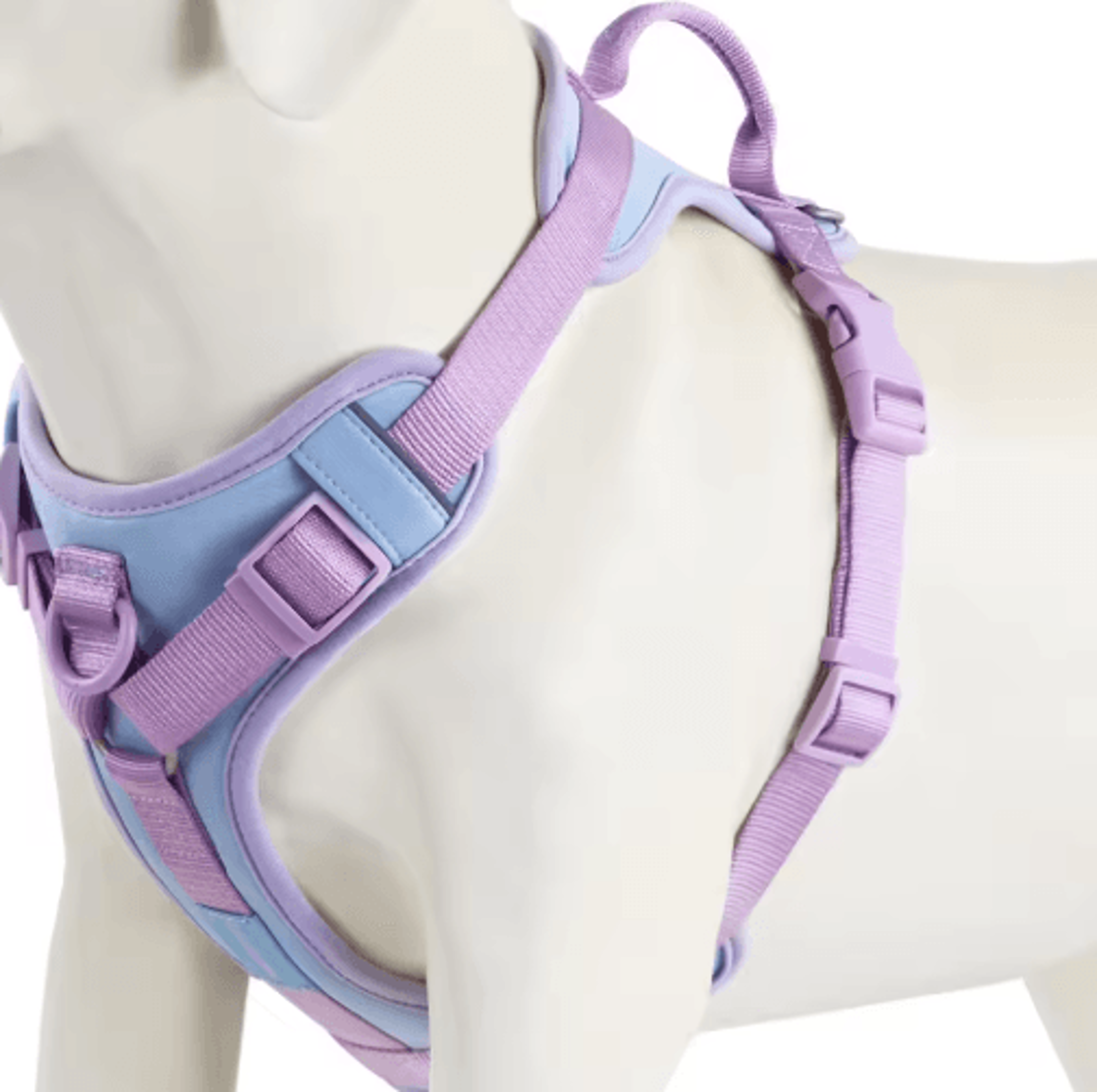 Breathable No Pull Dog Harness  Adjustable Personalized Chest Strap For Small  Large Dogs 5