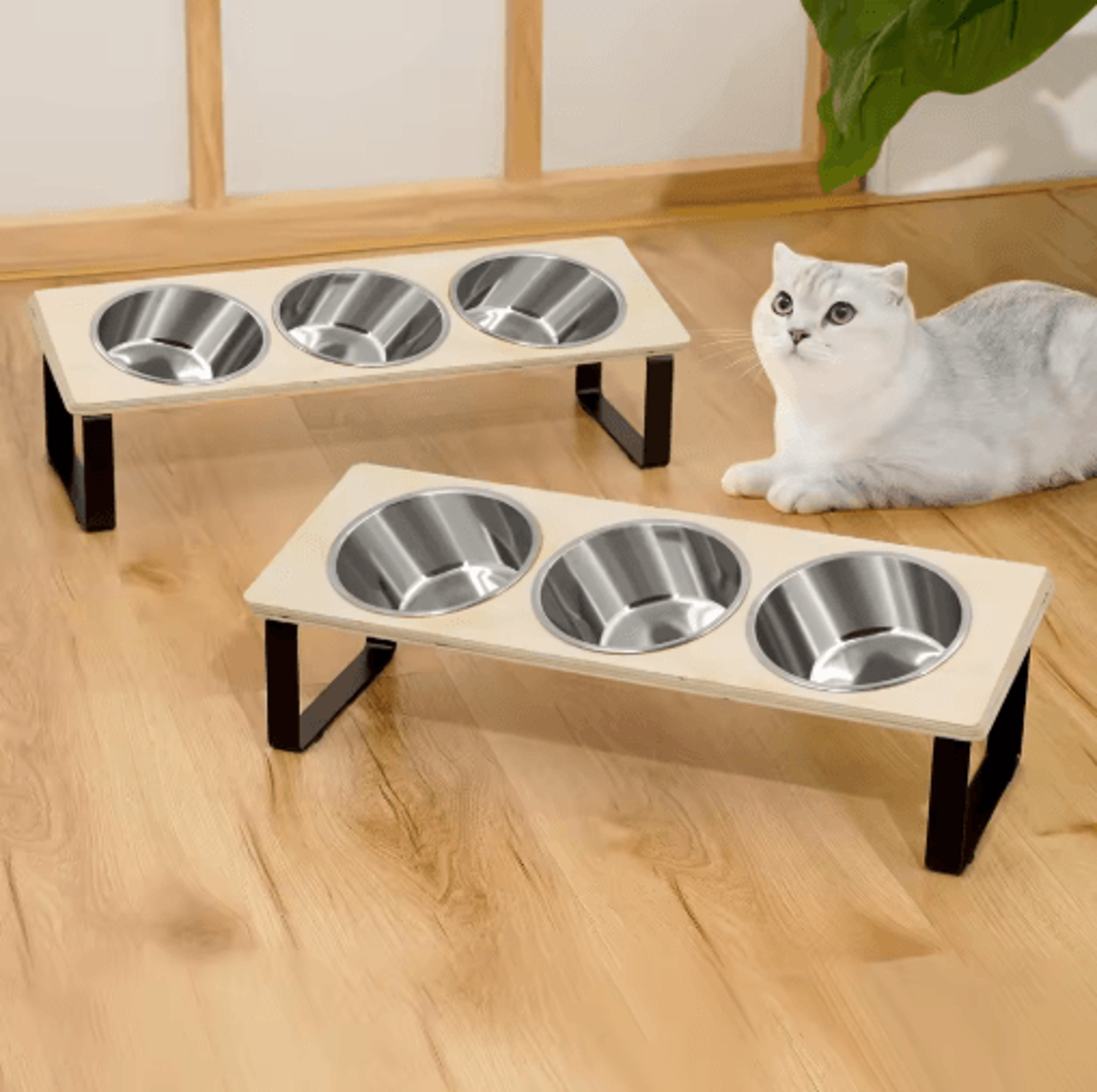 15 Tilted Elevated Cat Bowls  Raised Stainless Steel Feeding Set For Cats  Small Puppies 2