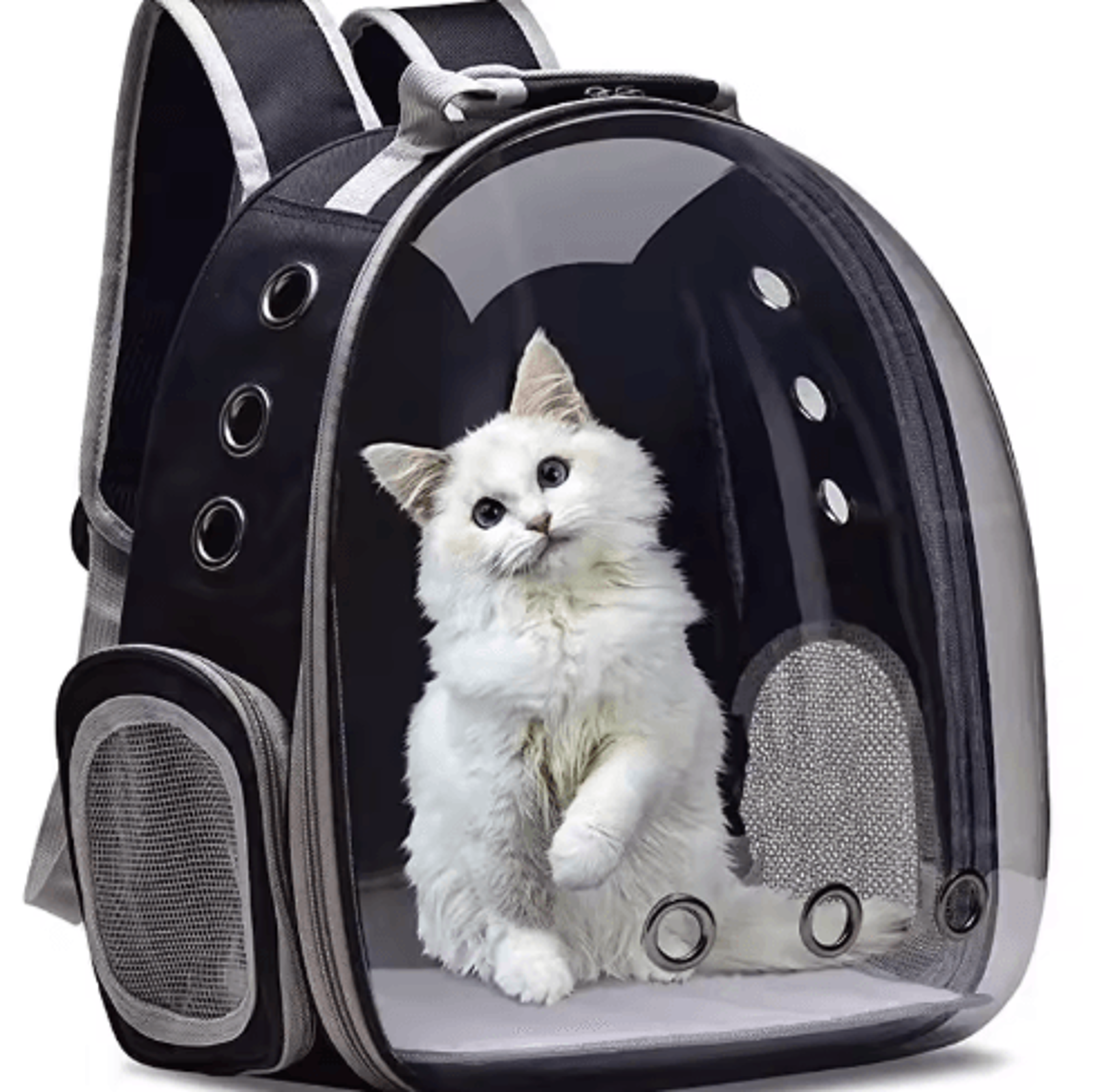 Transparent Bubble Pet Carrier Backpack  Breathable Travel Backpack For Cats  Small Pets 0