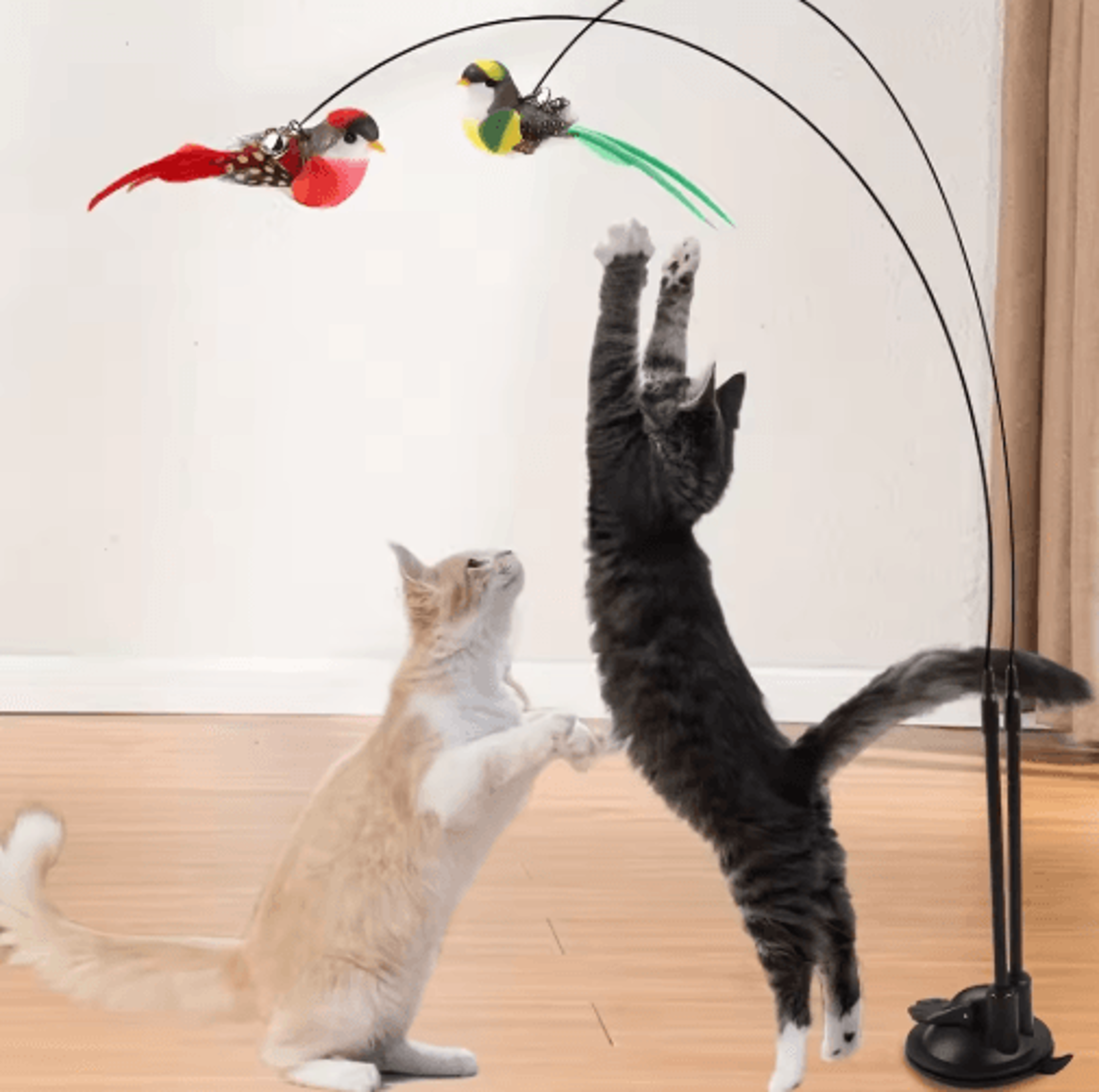 Interactive Double Bird Cat Teaser Wand Set  Suction Cup Feather Toy With Bells For Cats 0