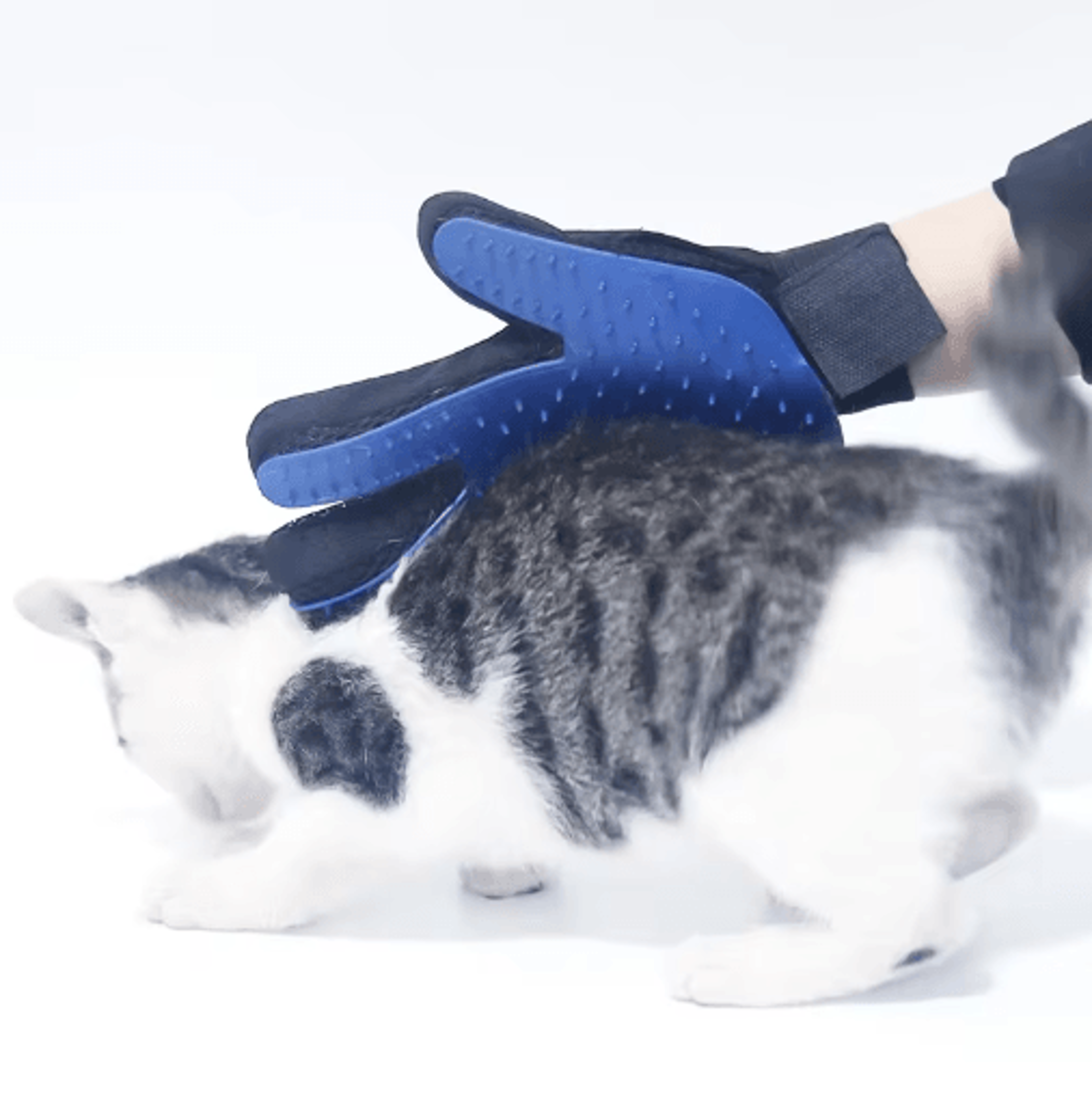 Silicone Pet Grooming Gloves For Cat  Dog Hair Removal 2