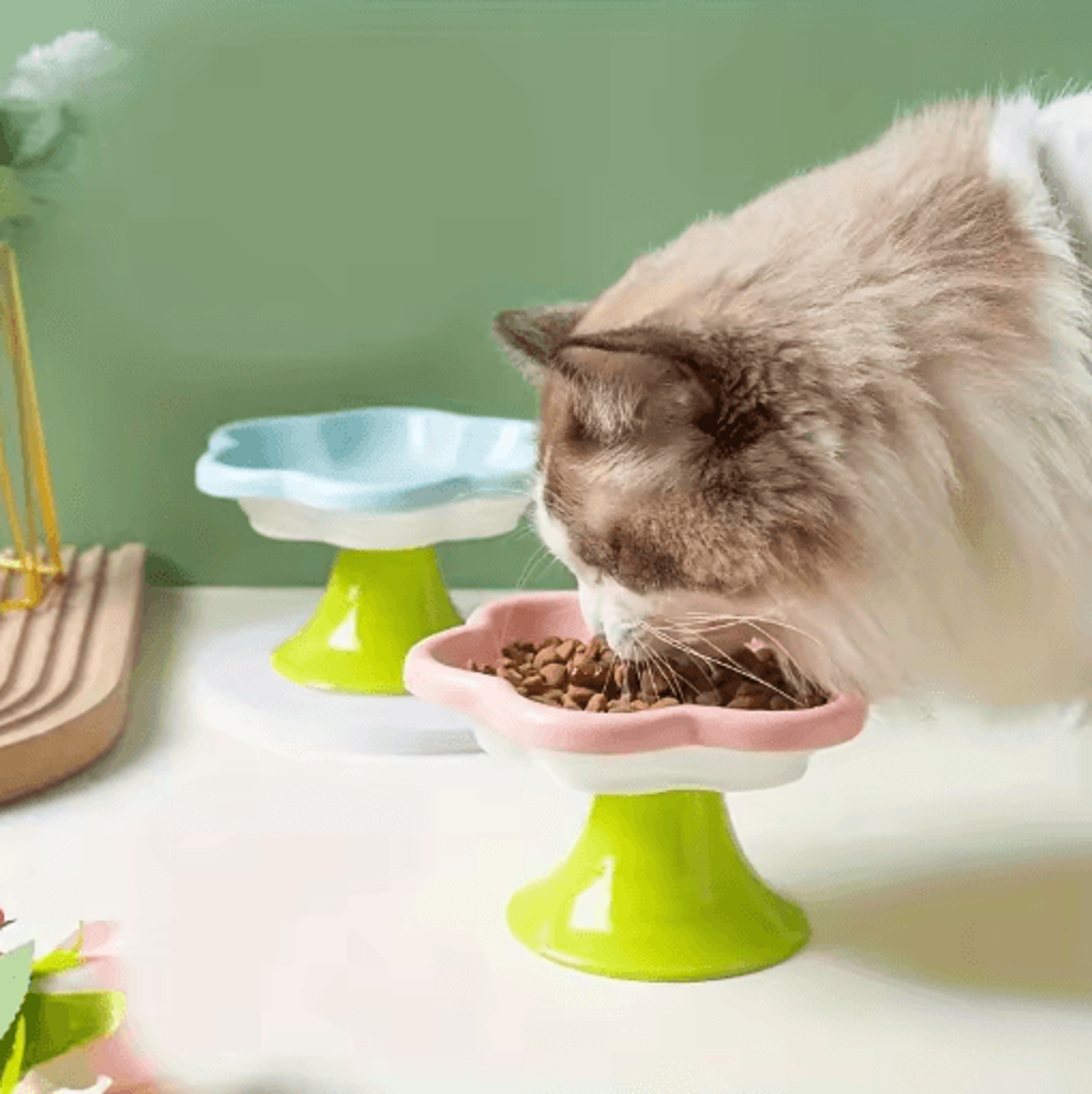flower design raised ceramic cat bowl with stand
