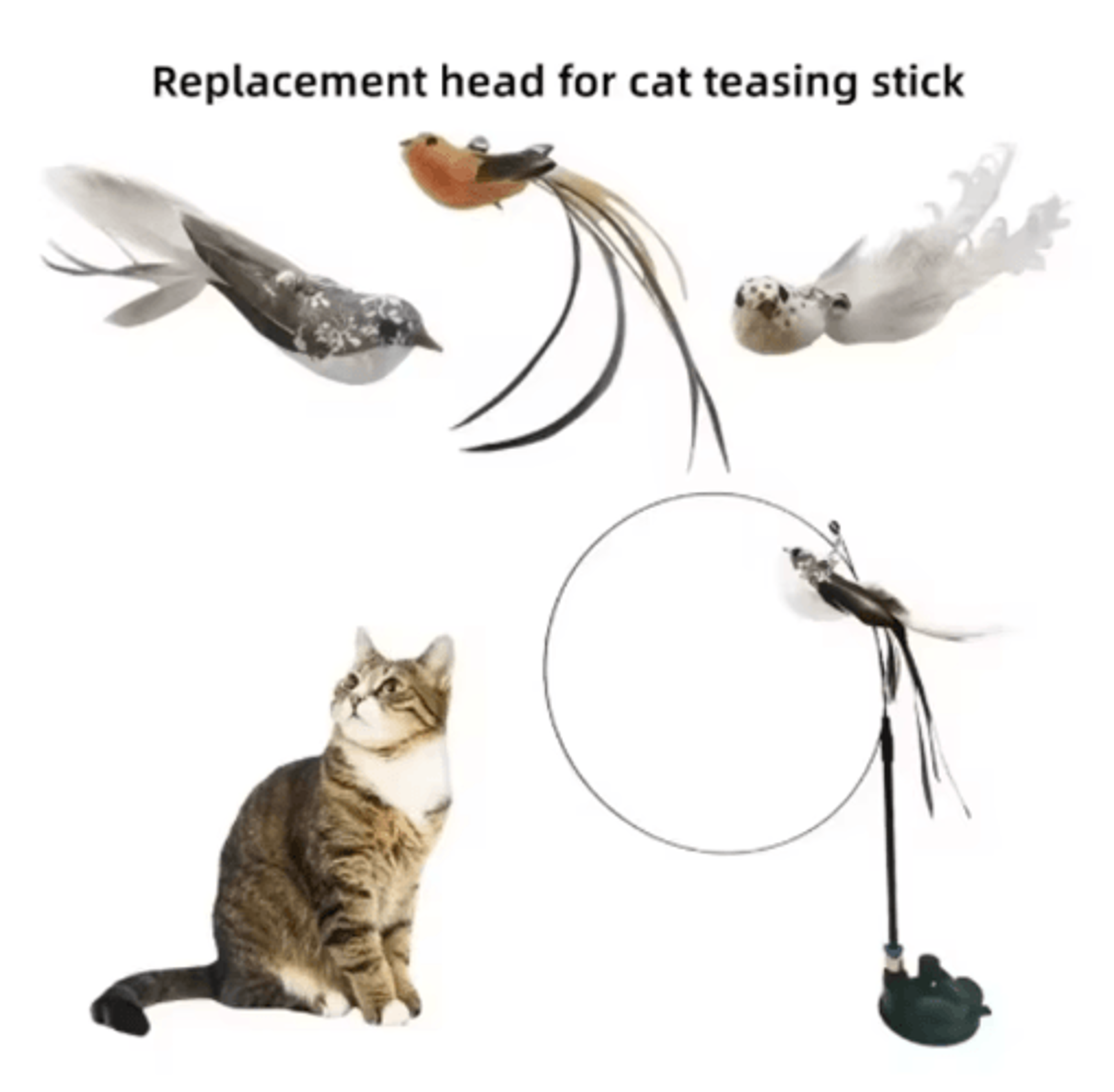 Interactive Feather Suction Cup Cat Teaser Toy With Bell 5
