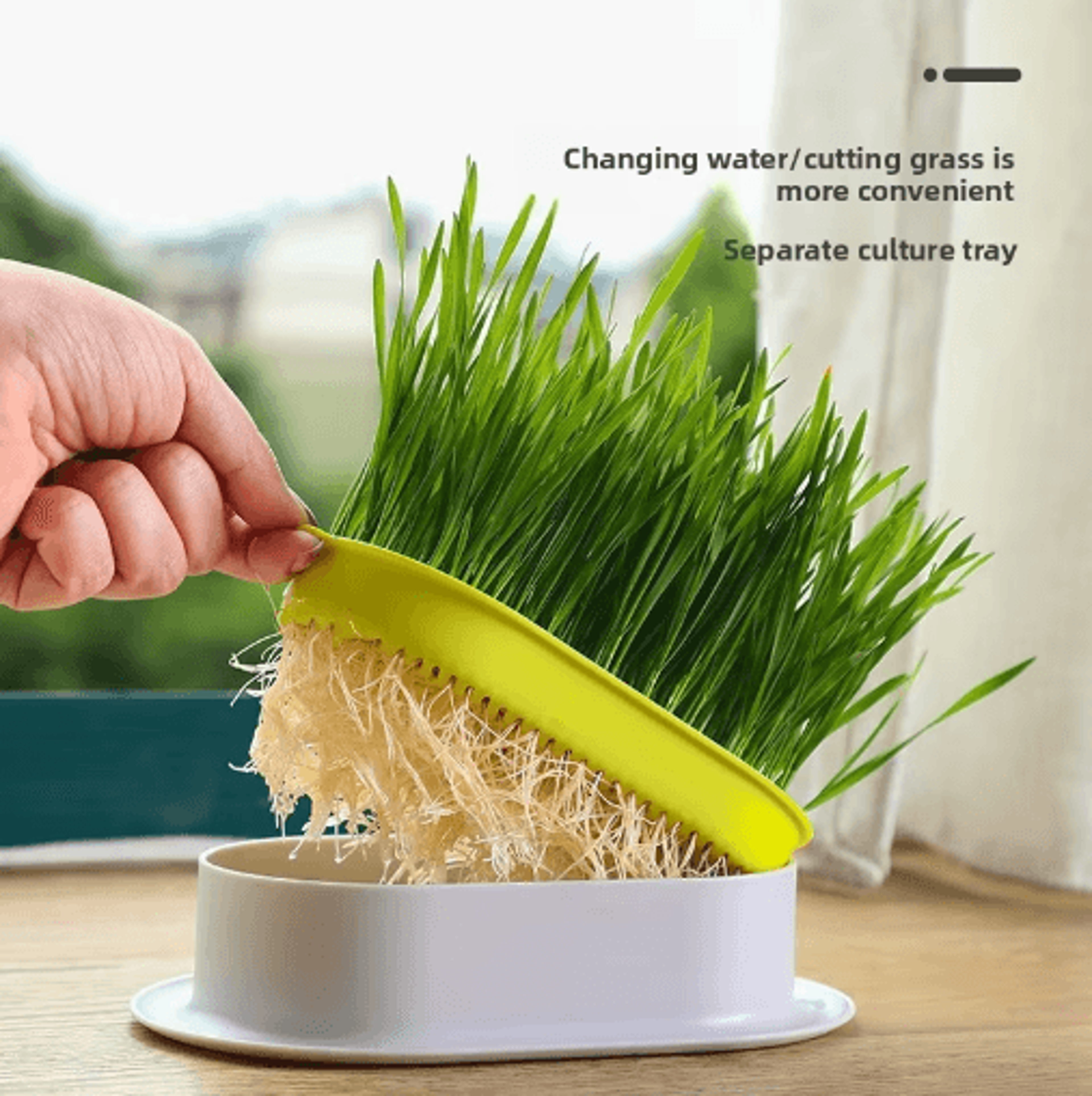 Hydroponic Cat Grass Growing Box For Indoor Cats 6