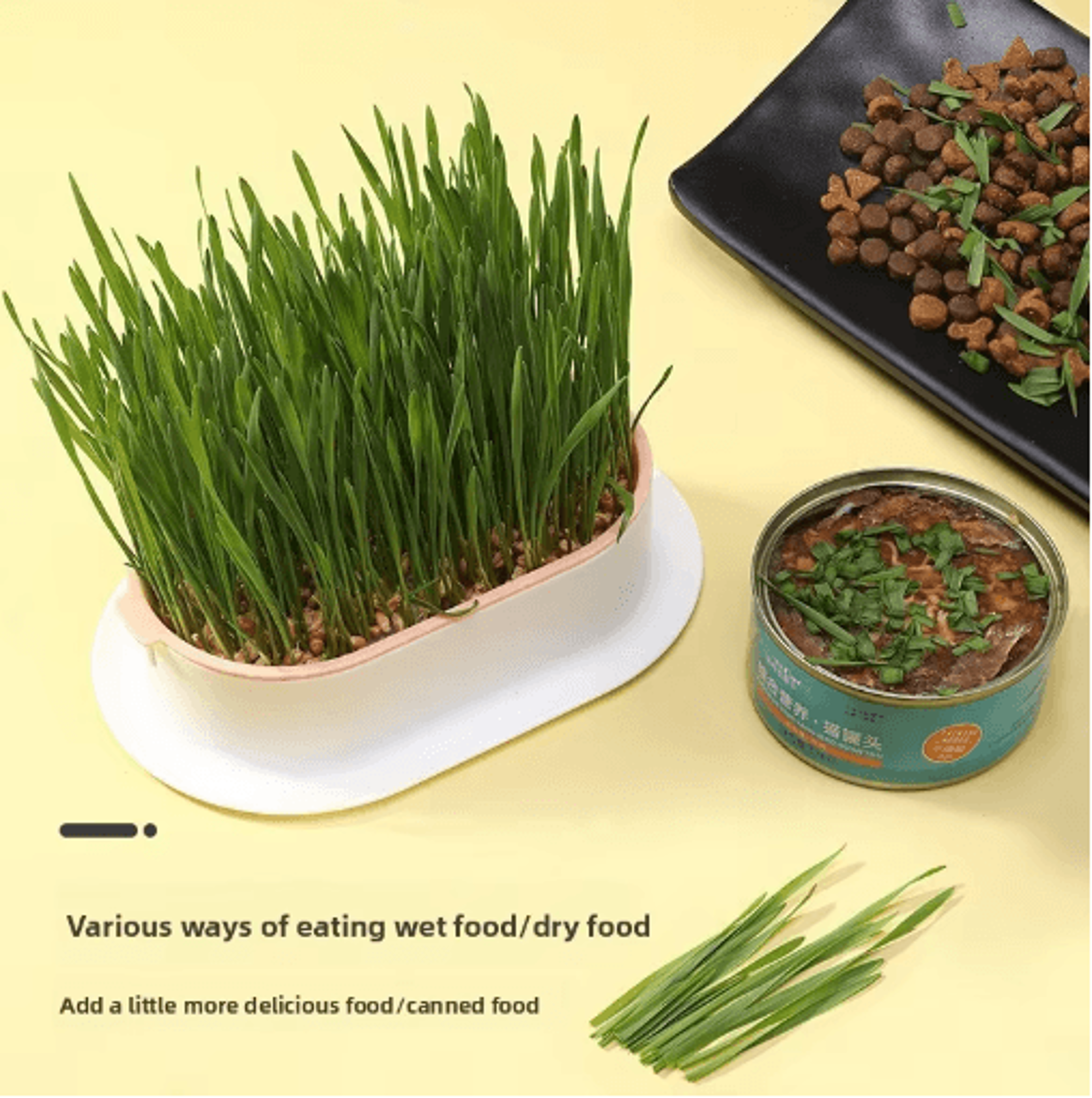 Hydroponic Cat Grass Growing Box For Indoor Cats 8