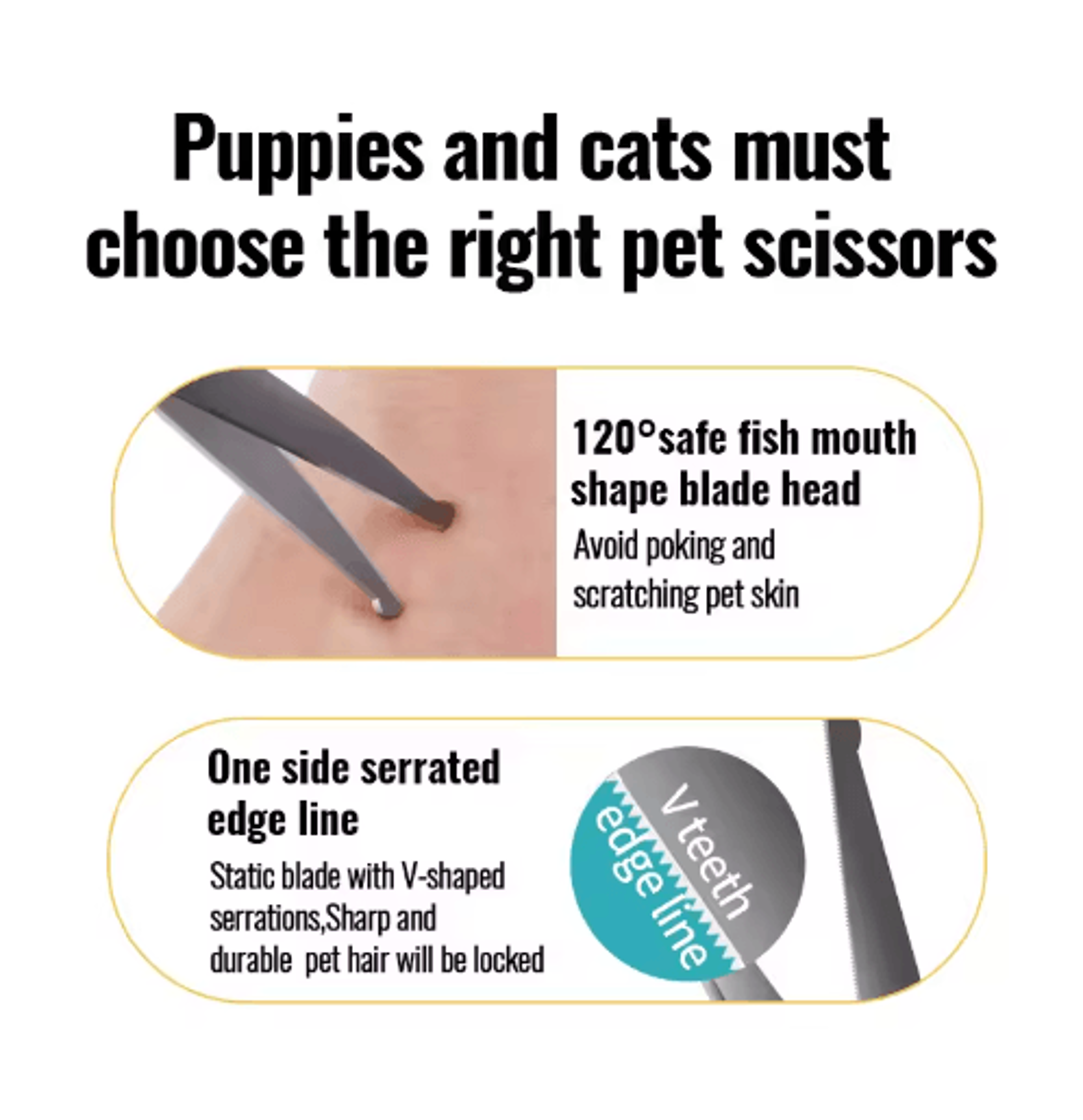 Fenice Professional Round Tip Pet Grooming Scissors  Safe Trimming Tool For Eyes Face  Paws 10
