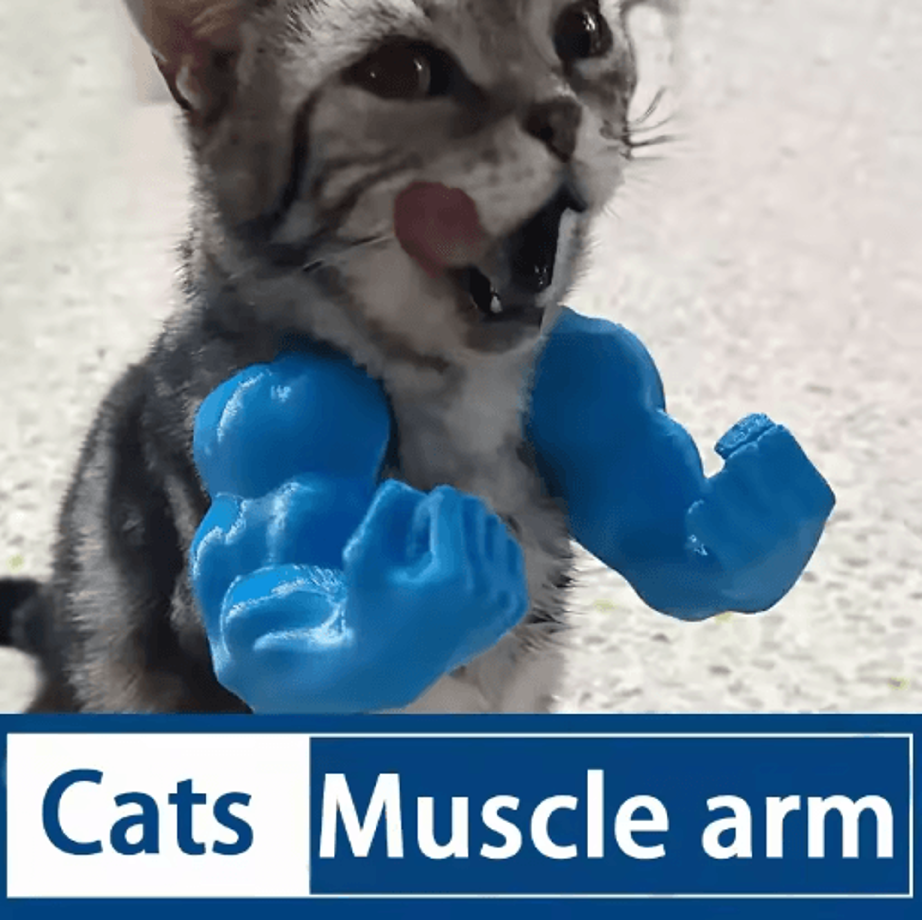 powerpaws muscle arm cat pendant collar funny strong arm pet neck accessory