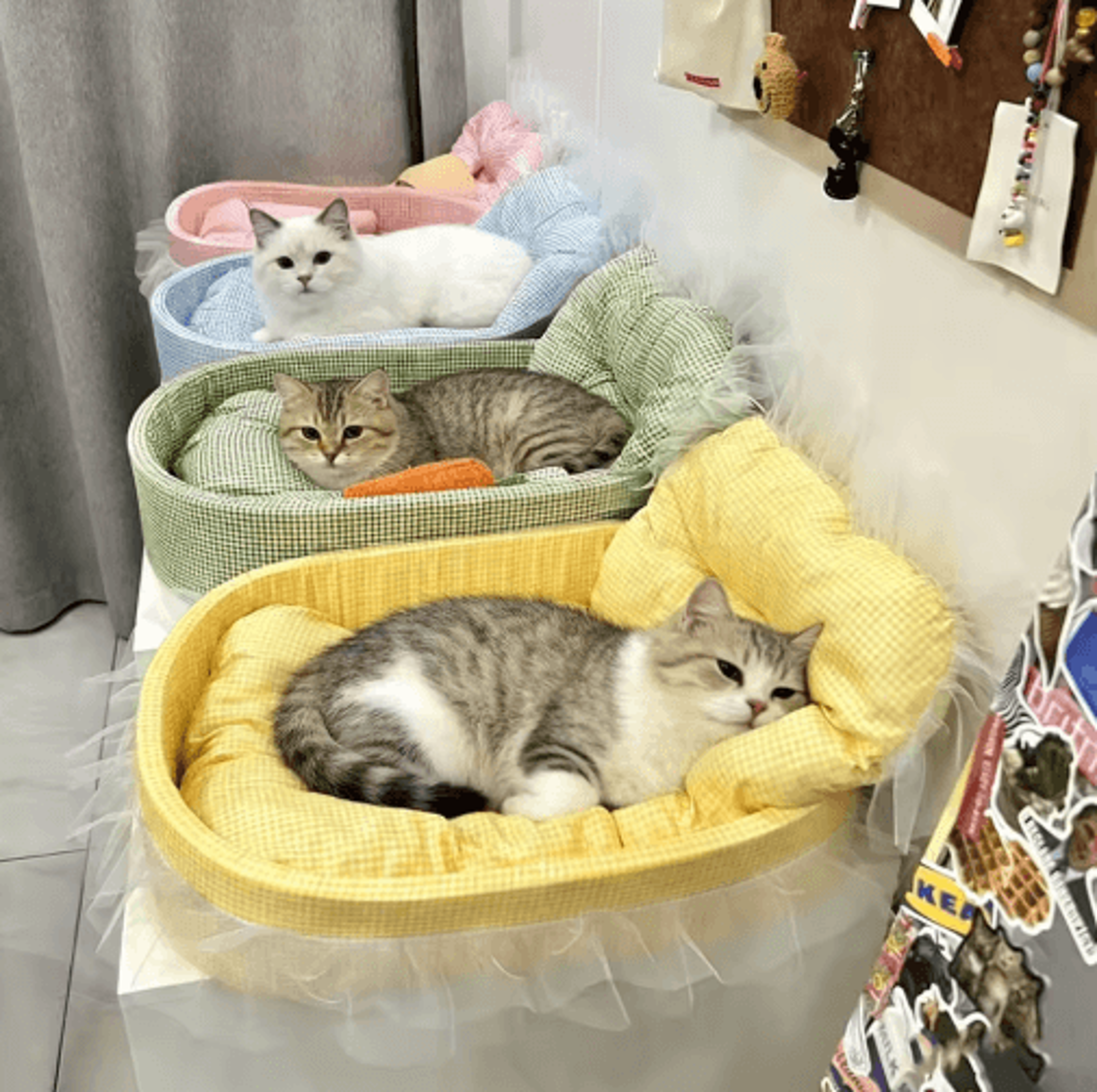 royalsnuggle lace-trimmed princess pet sofa bed – plush oval bed for cats & small dogs