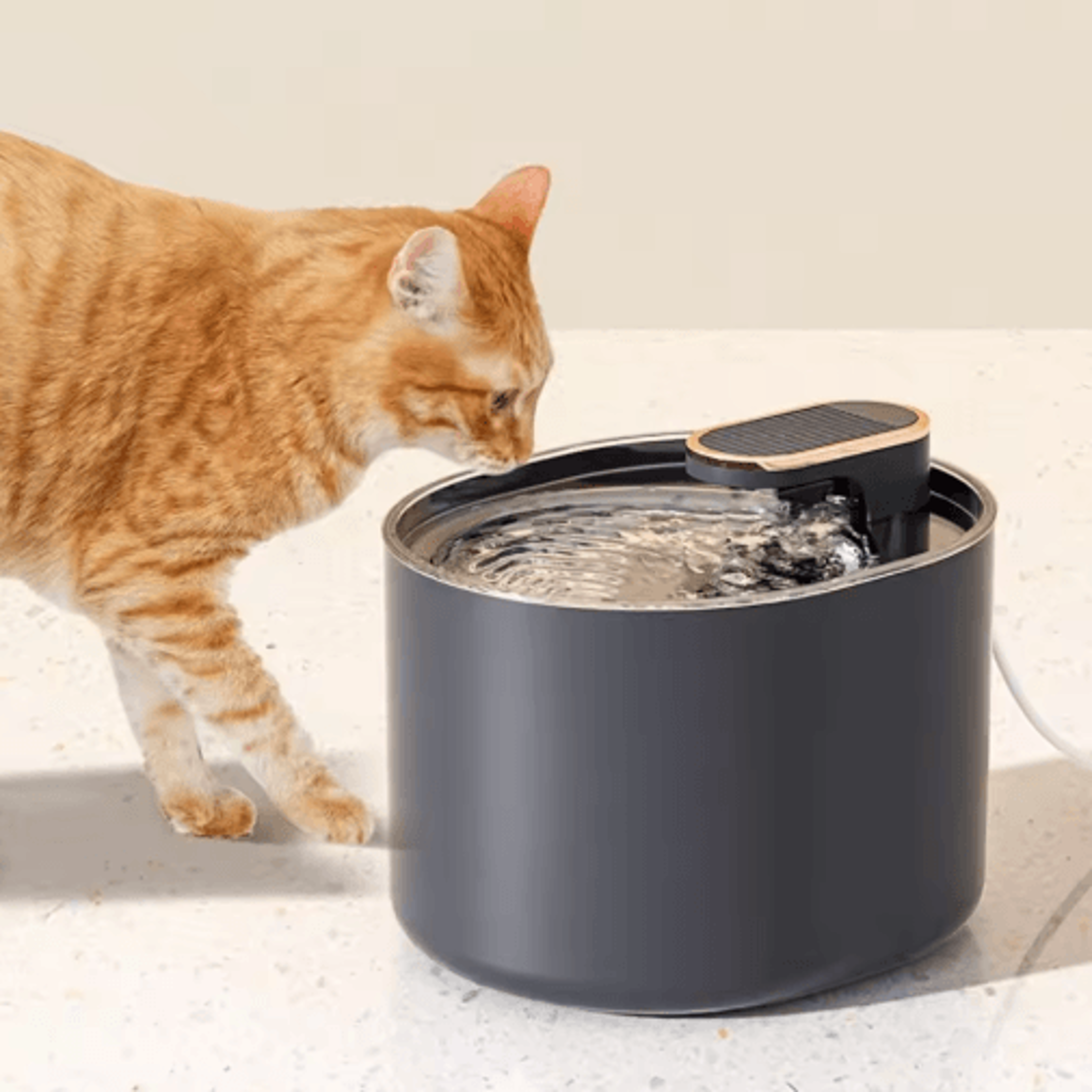 3l automatic cat water fountain – usb electric pet drinking fountain with smart water flow