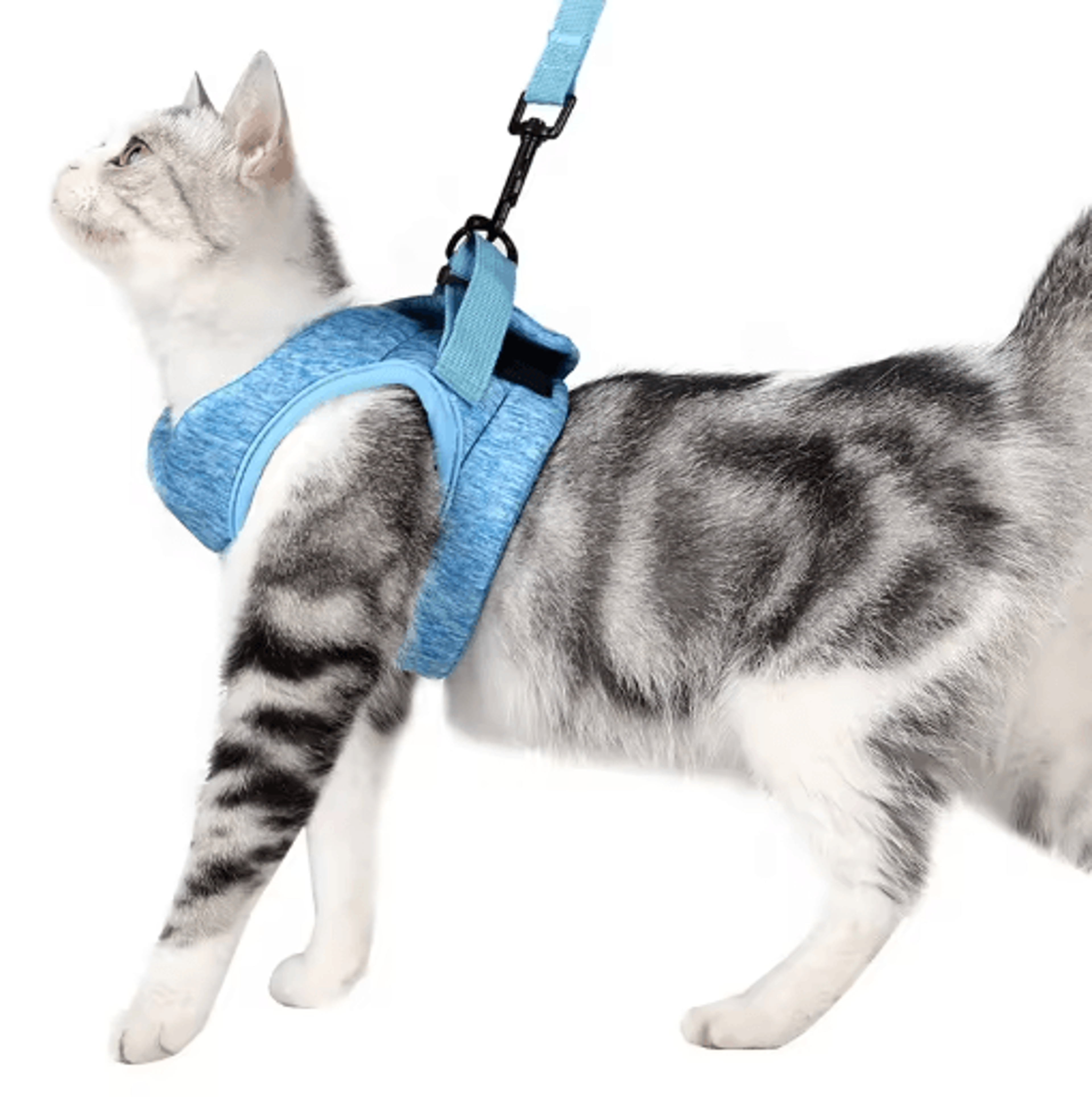 Adjustable AntiEscape Kitten Harness  Leash Set Breathable Soft Cat Walking Vest 1