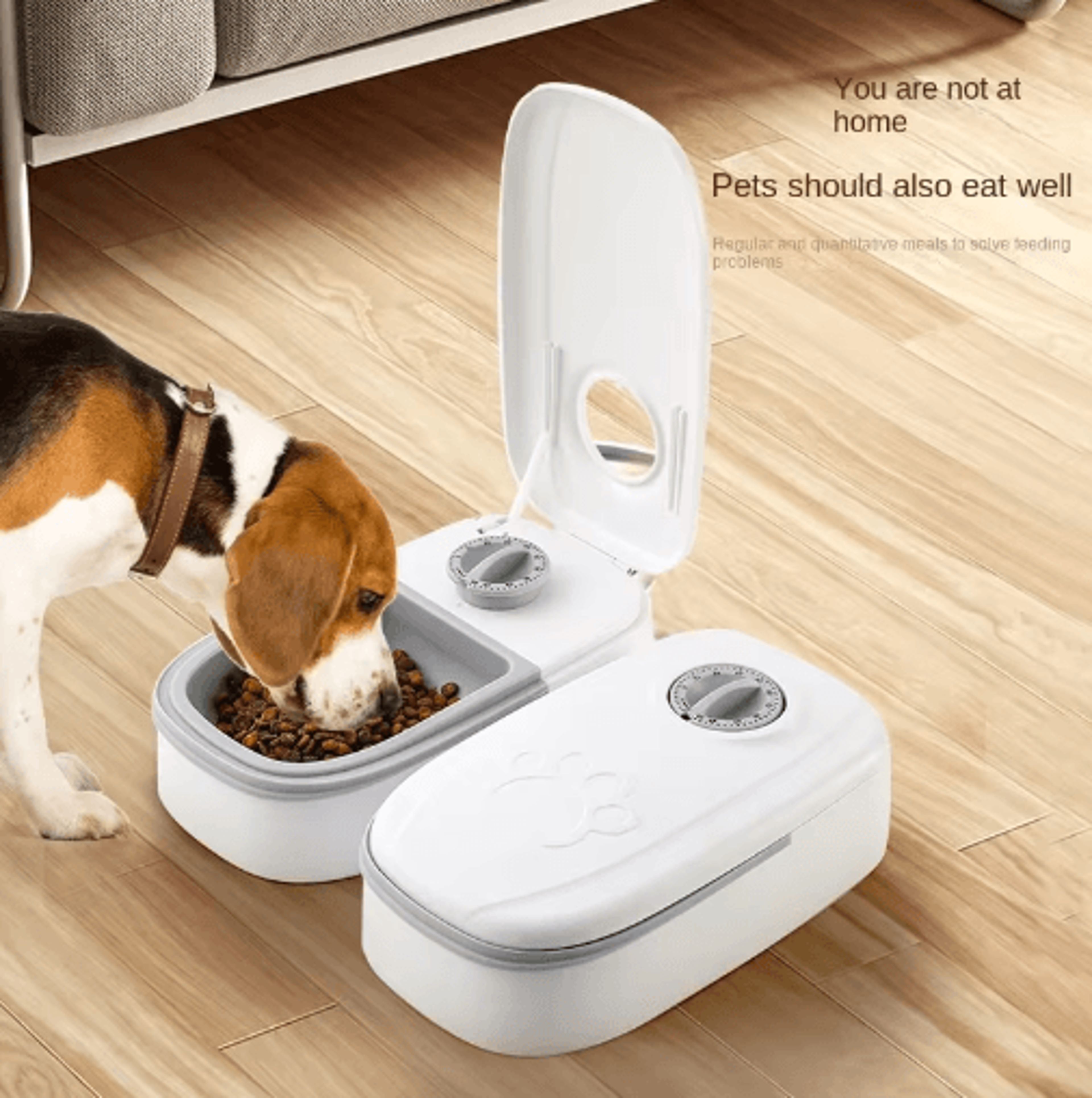 Automatic Pet Feeder  Water Bowl With Timer Food Storage Dispenser 0