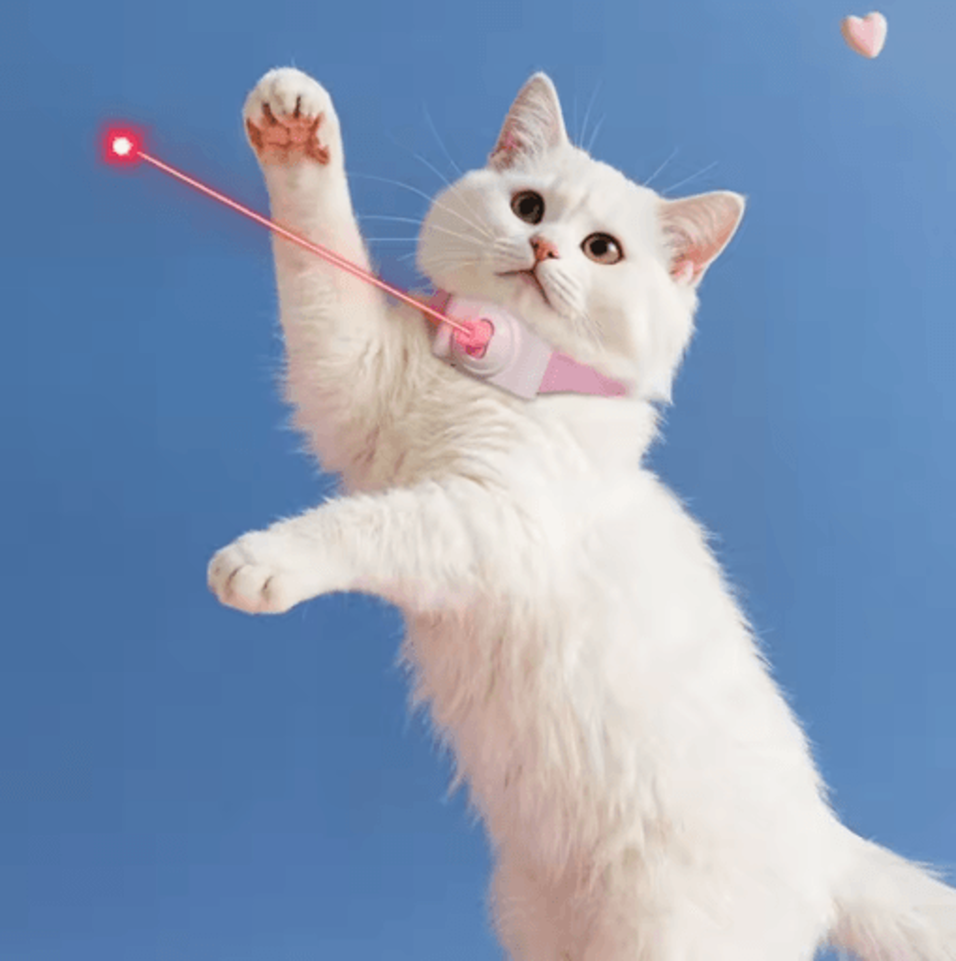 Automatic Cat Laser Toy Collar With Intelligent LED Light 5