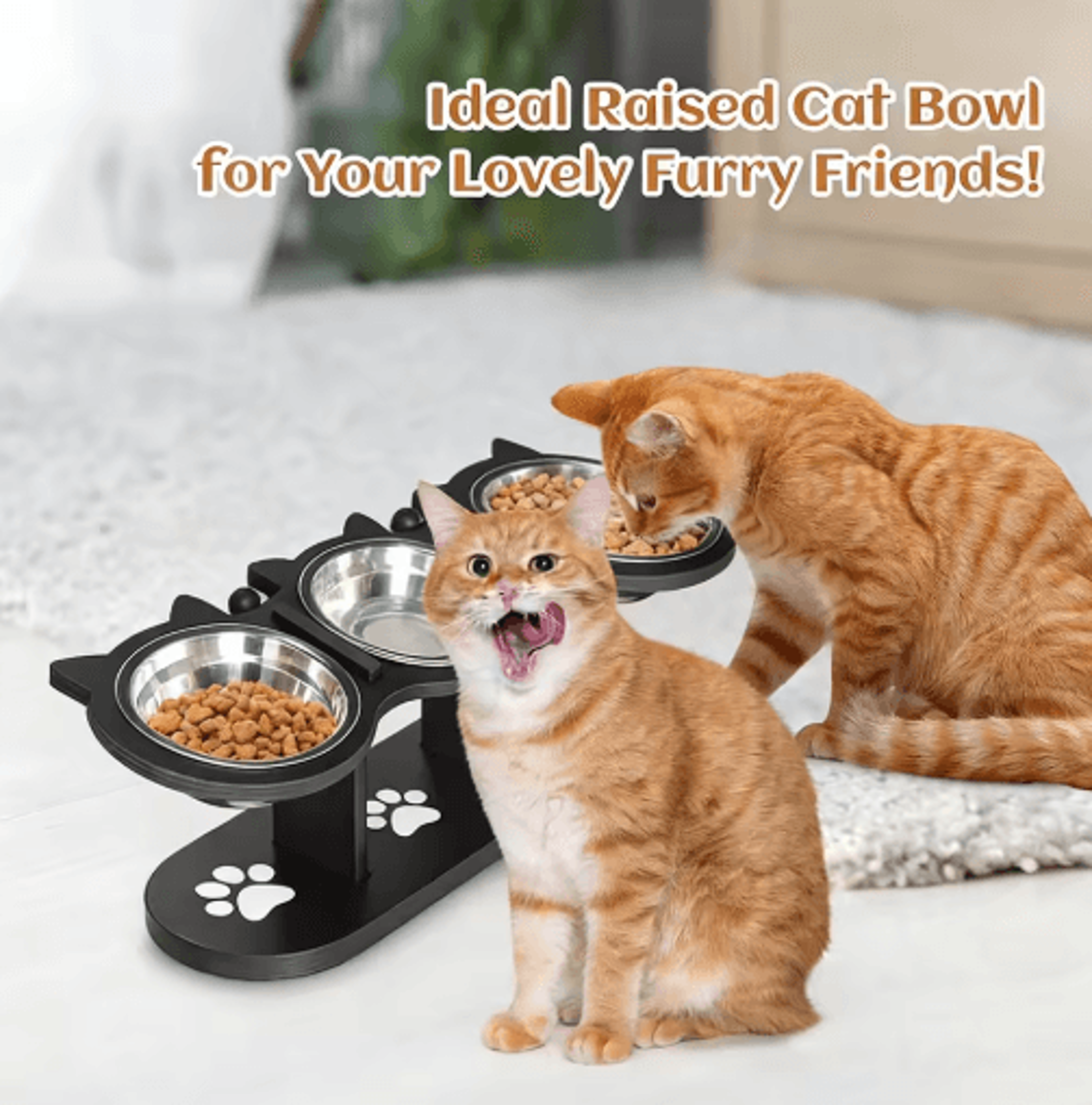 Elevated Cat Feeder With Solid Wood Frame  Stainless Steel Bowls 3