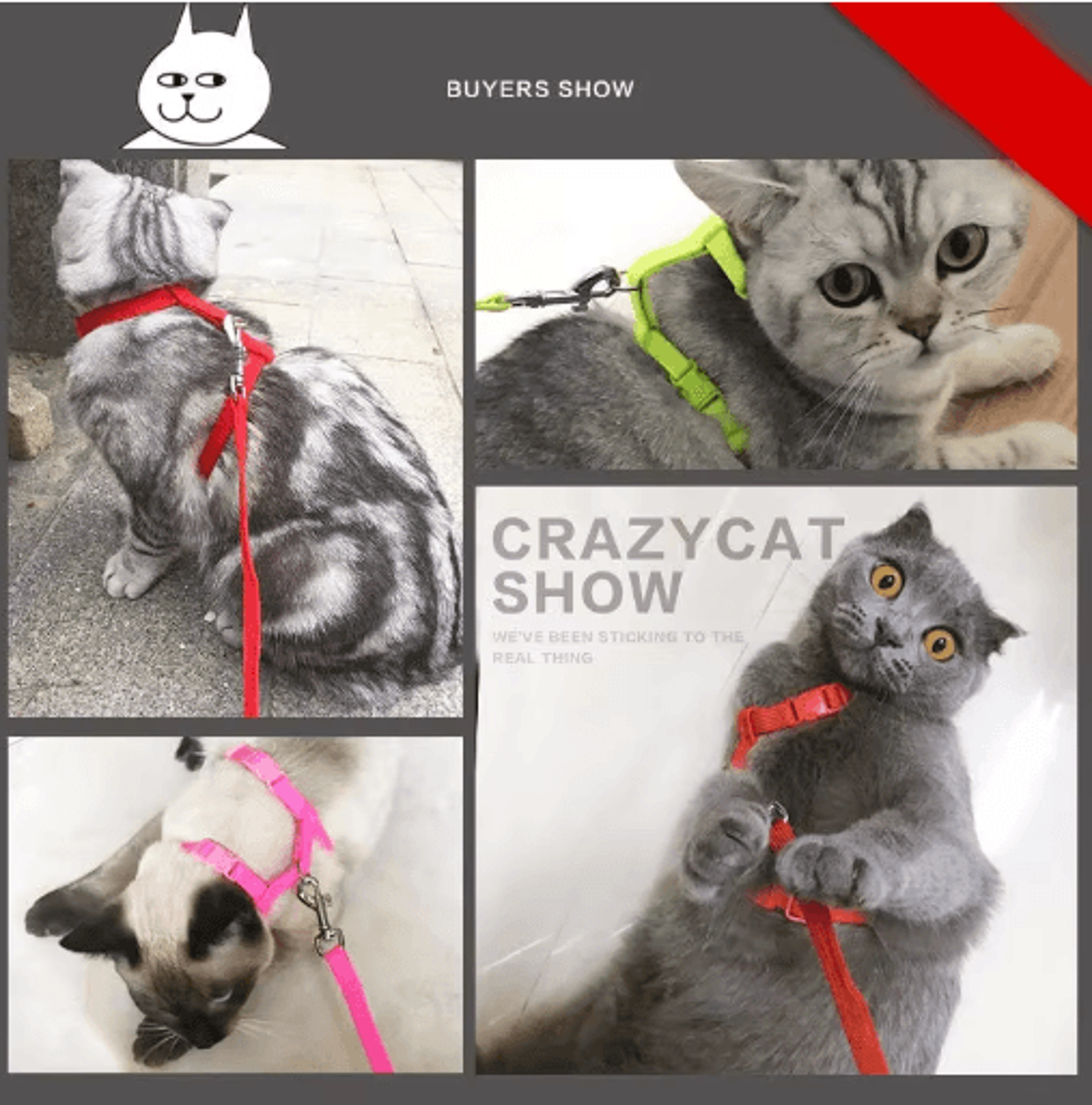 Escape Proof Pet Harness And Leash Set For Small Dogs  Cats 13