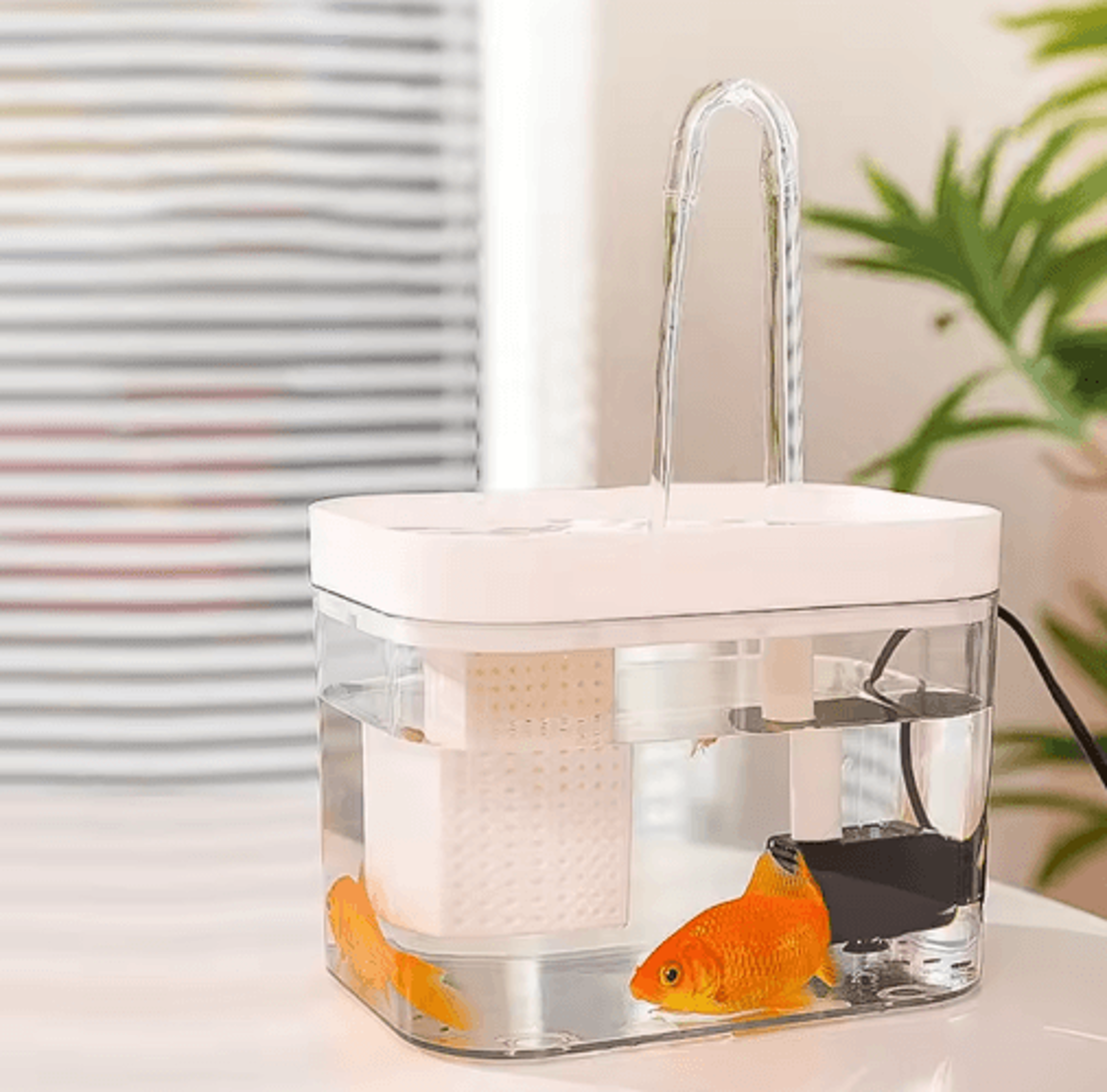 CrystalFlow Transparent Automatic Pet Water Fountain With Circulating Fresh Water 6