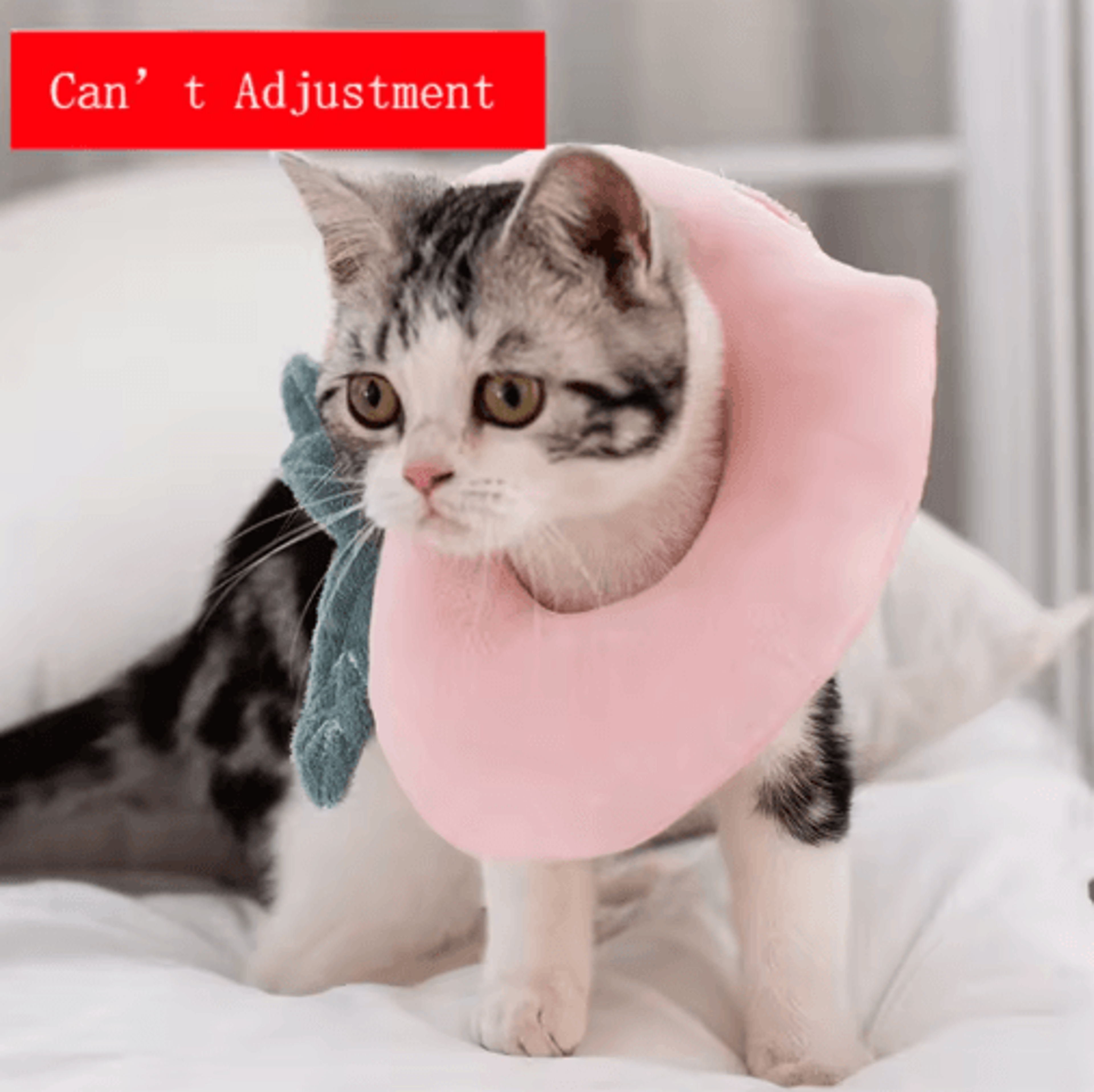 Toast  Avocado Pet Recovery Collar  Soft Adjustable Elizabethan Collar For Cats  Dogs 7