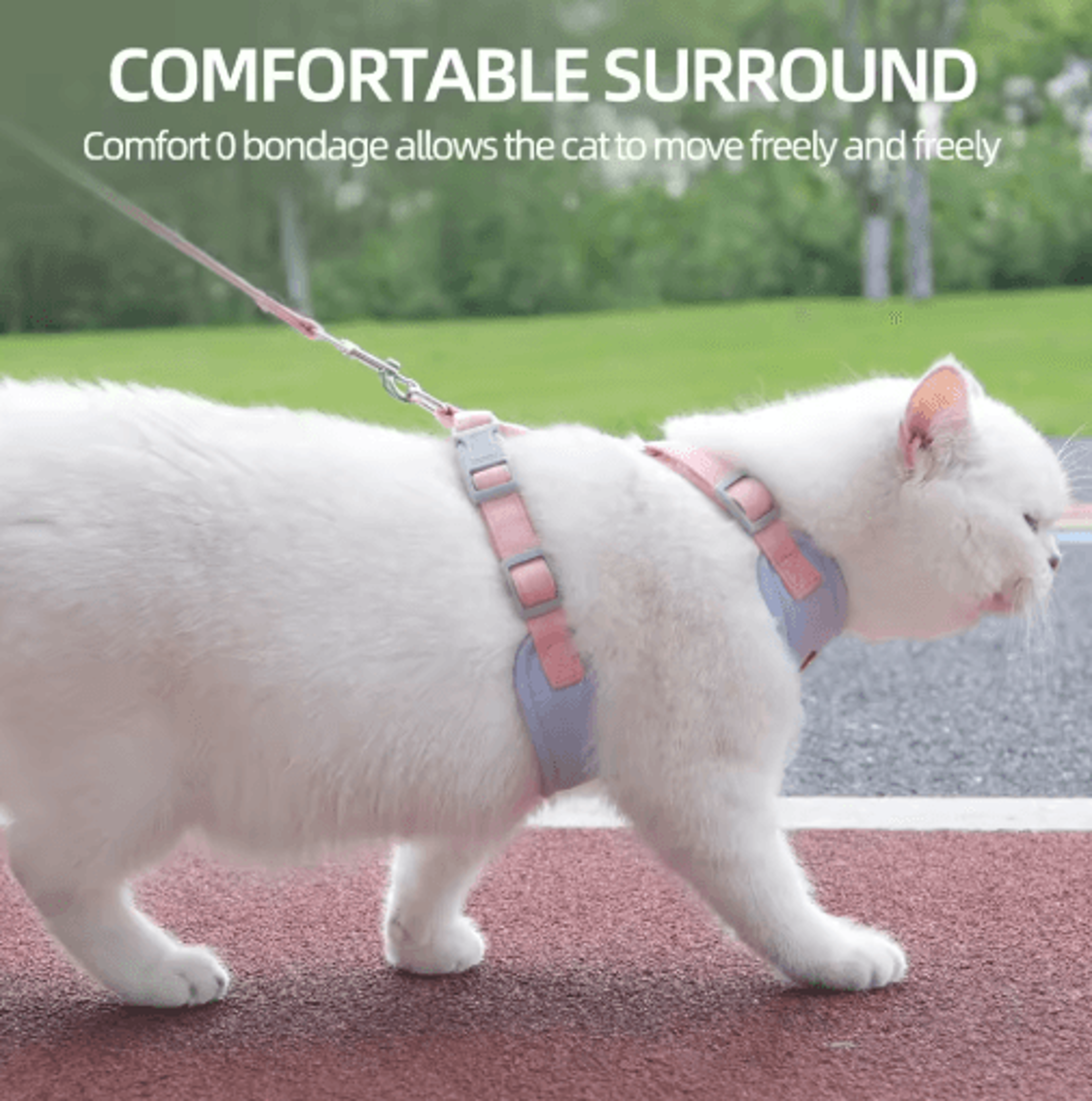 Breathable Cat Harness And Leash Set  Adjustable Outdoor Vest For Cats  Small Dogs 7