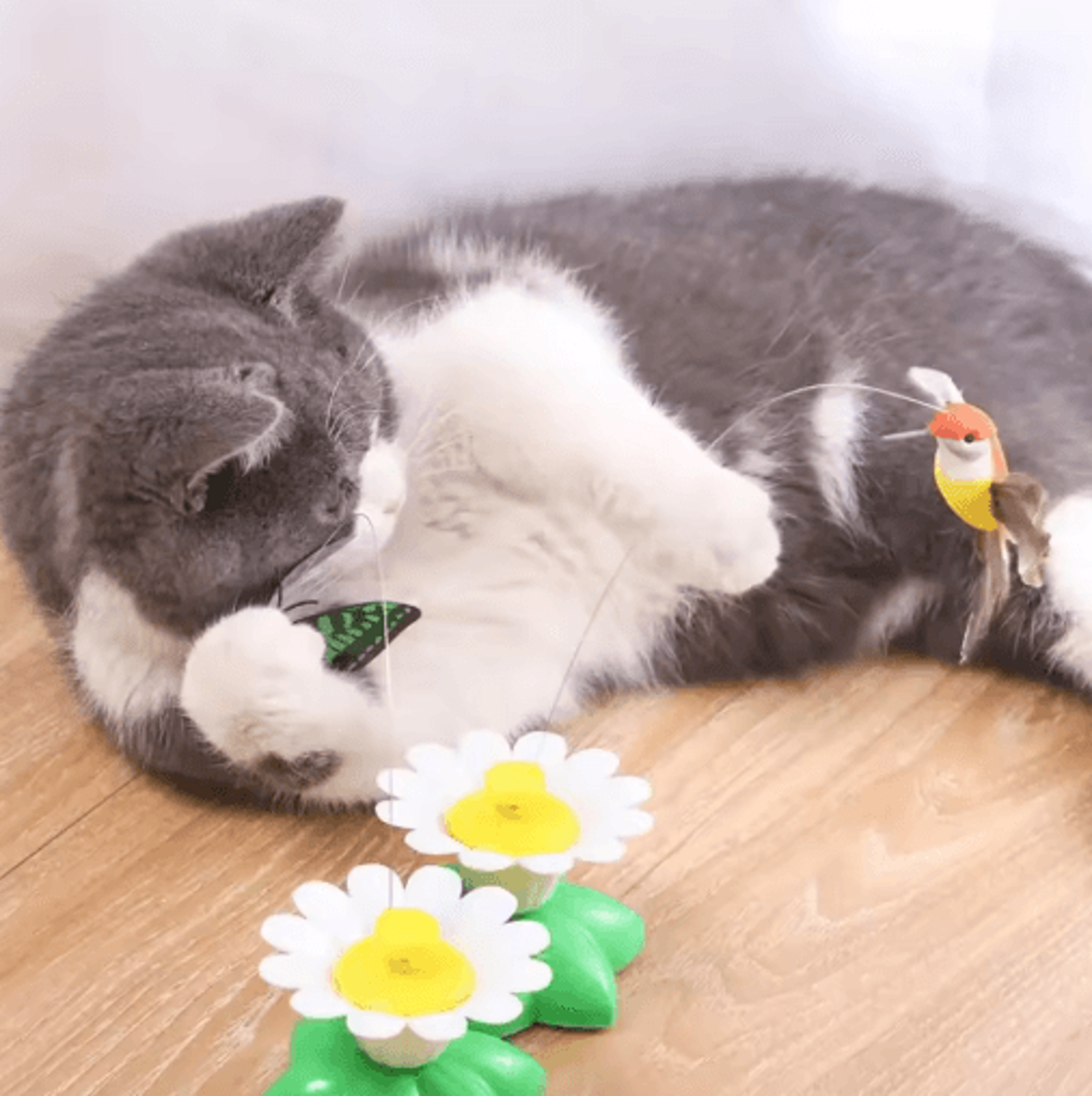 4Pack Automatic Butterfly Cat Toy  Rotating Interactive Flying Teaser For Cats 7
